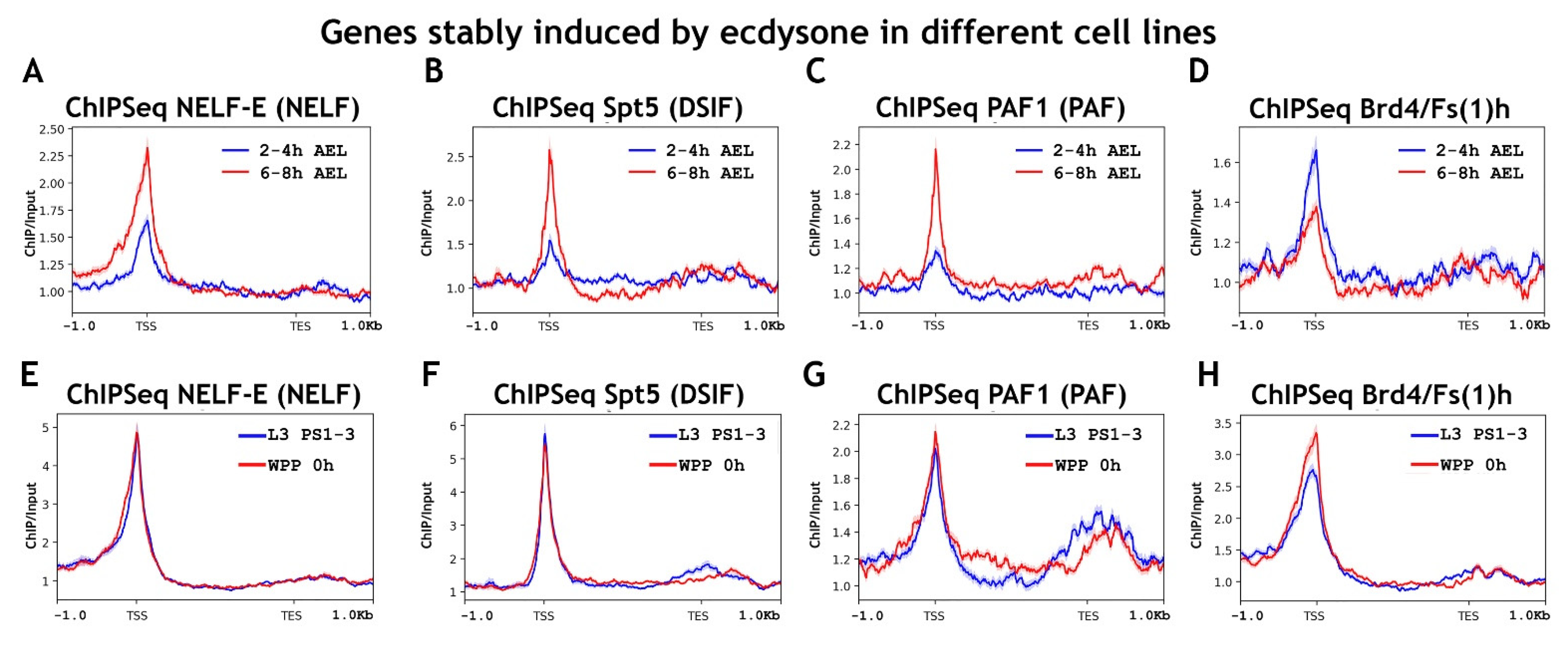 Ijms 23 10662 g008 550