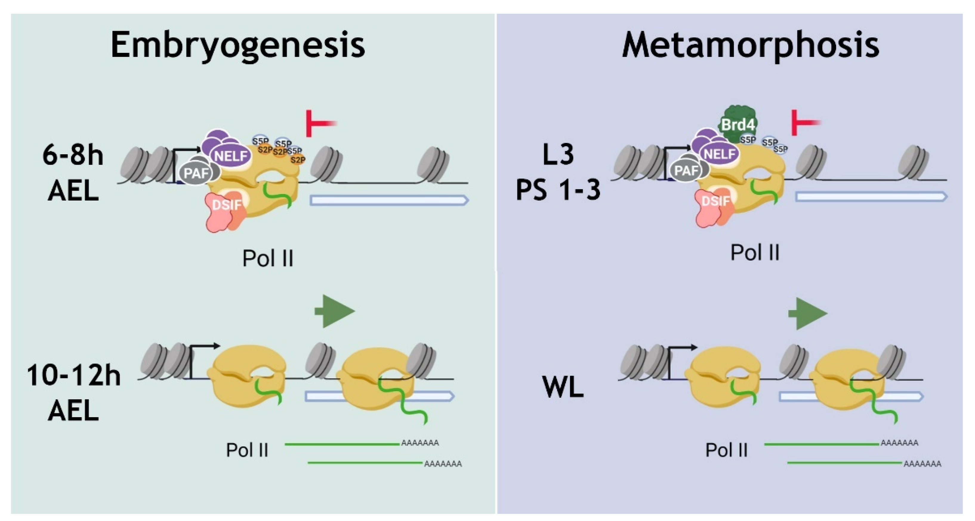 Ijms 23 10662 g009 550