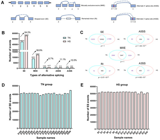 キャン 2タイトルセット Disruption of nuclear speckle integrity dysregulates RNA