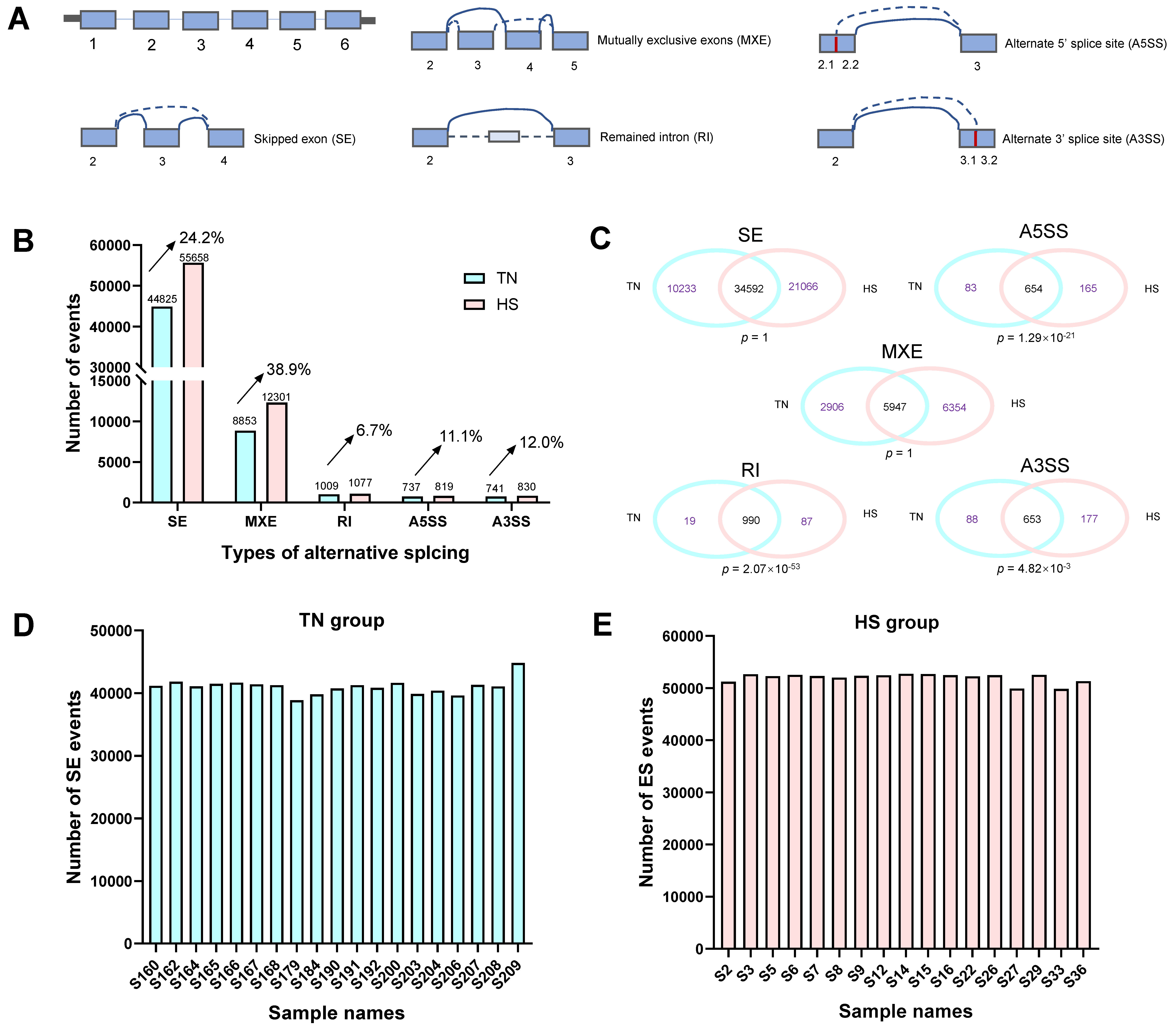 Ijms 23 10664 g002 550
