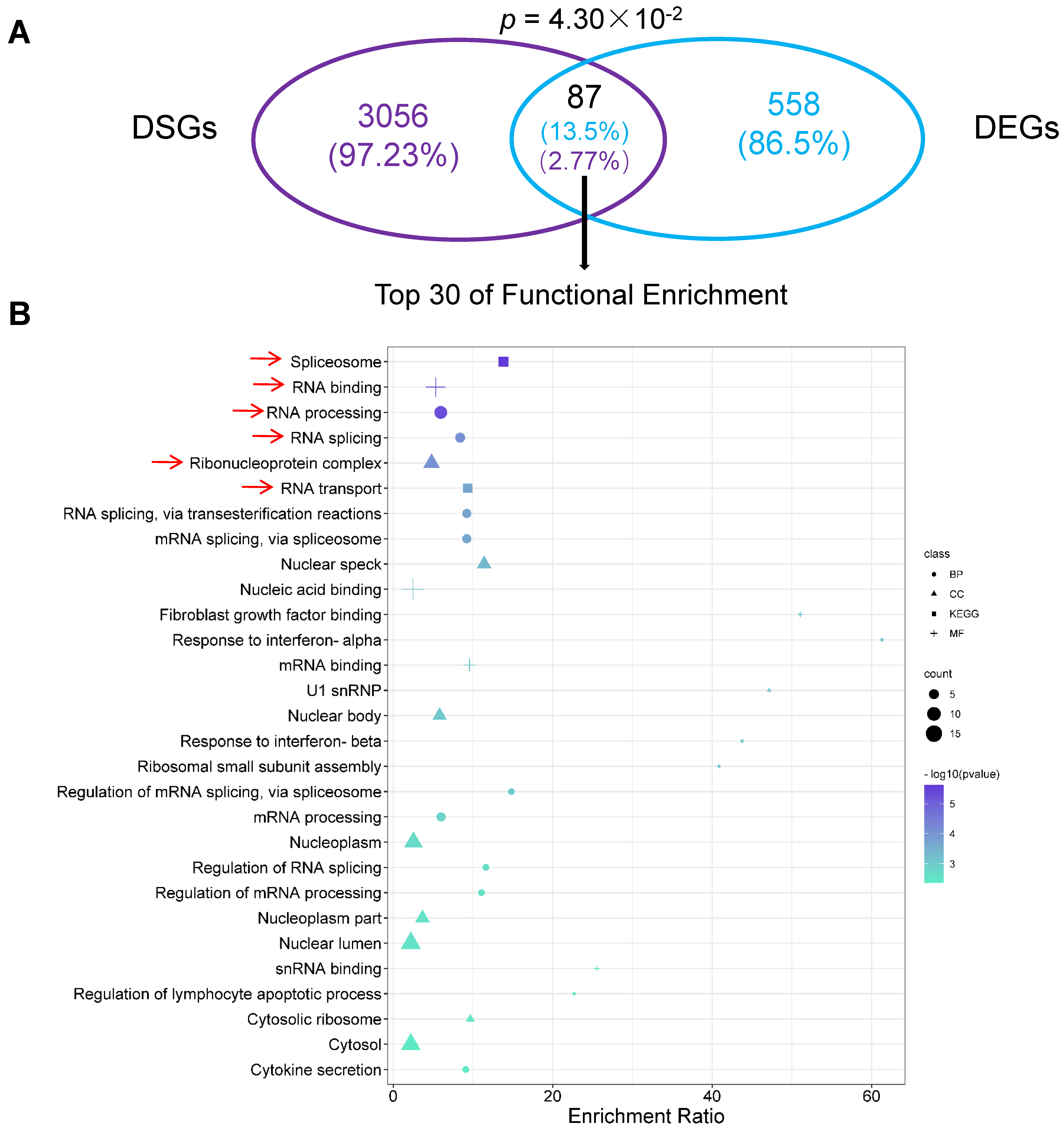 Ijms 23 10664 g005 550