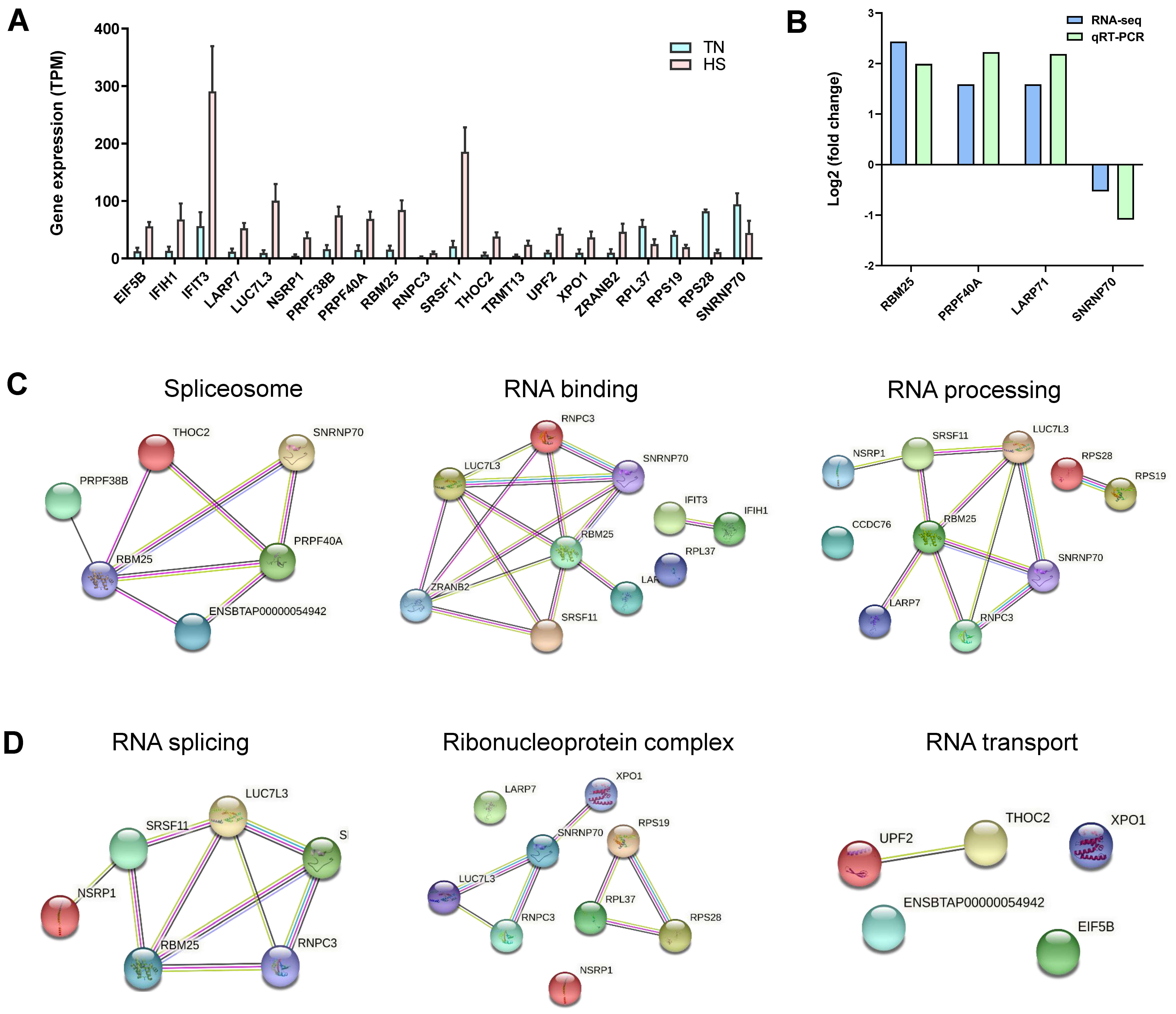 Ijms 23 10664 g006 550