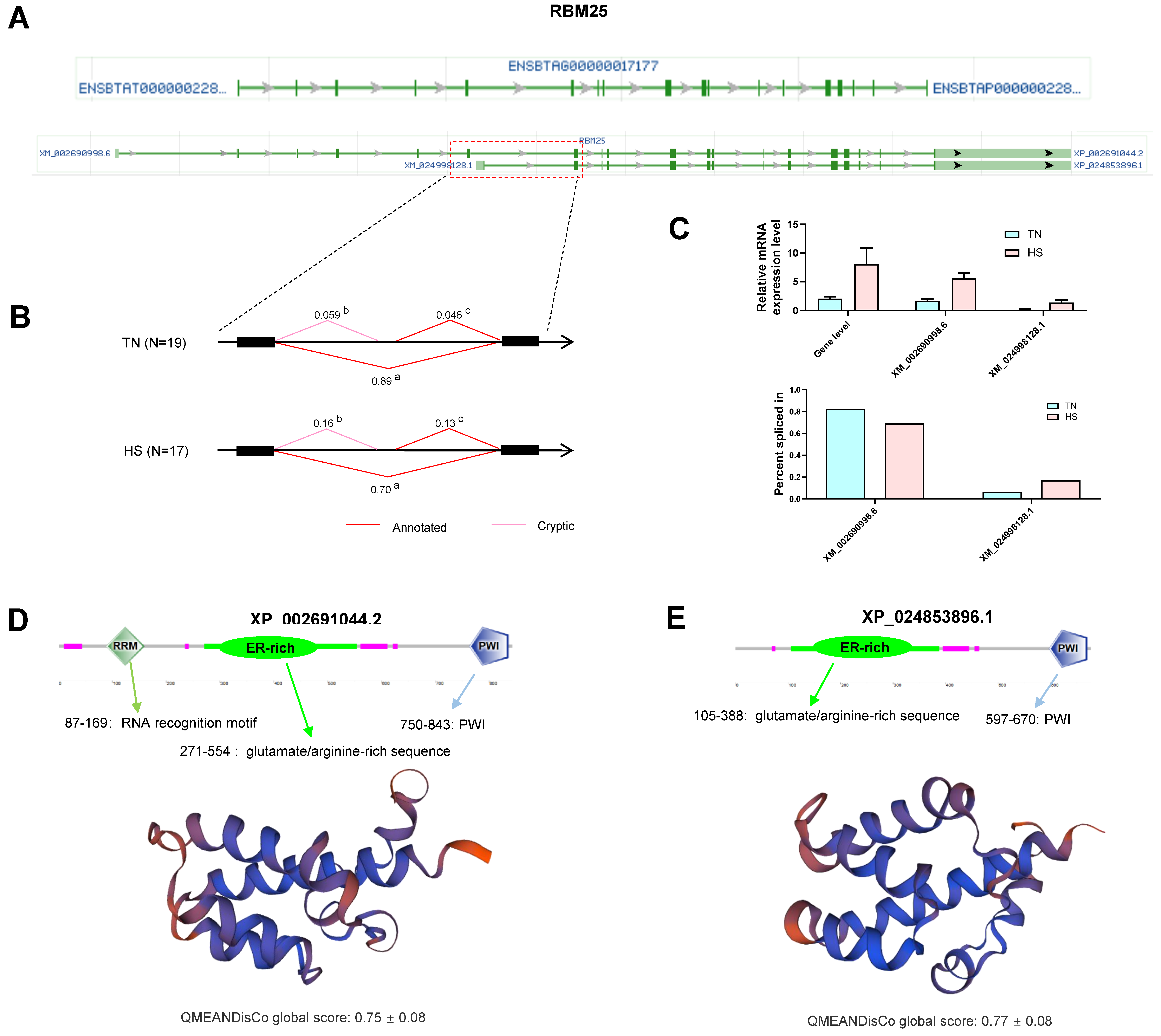 Ijms 23 10664 g007 550