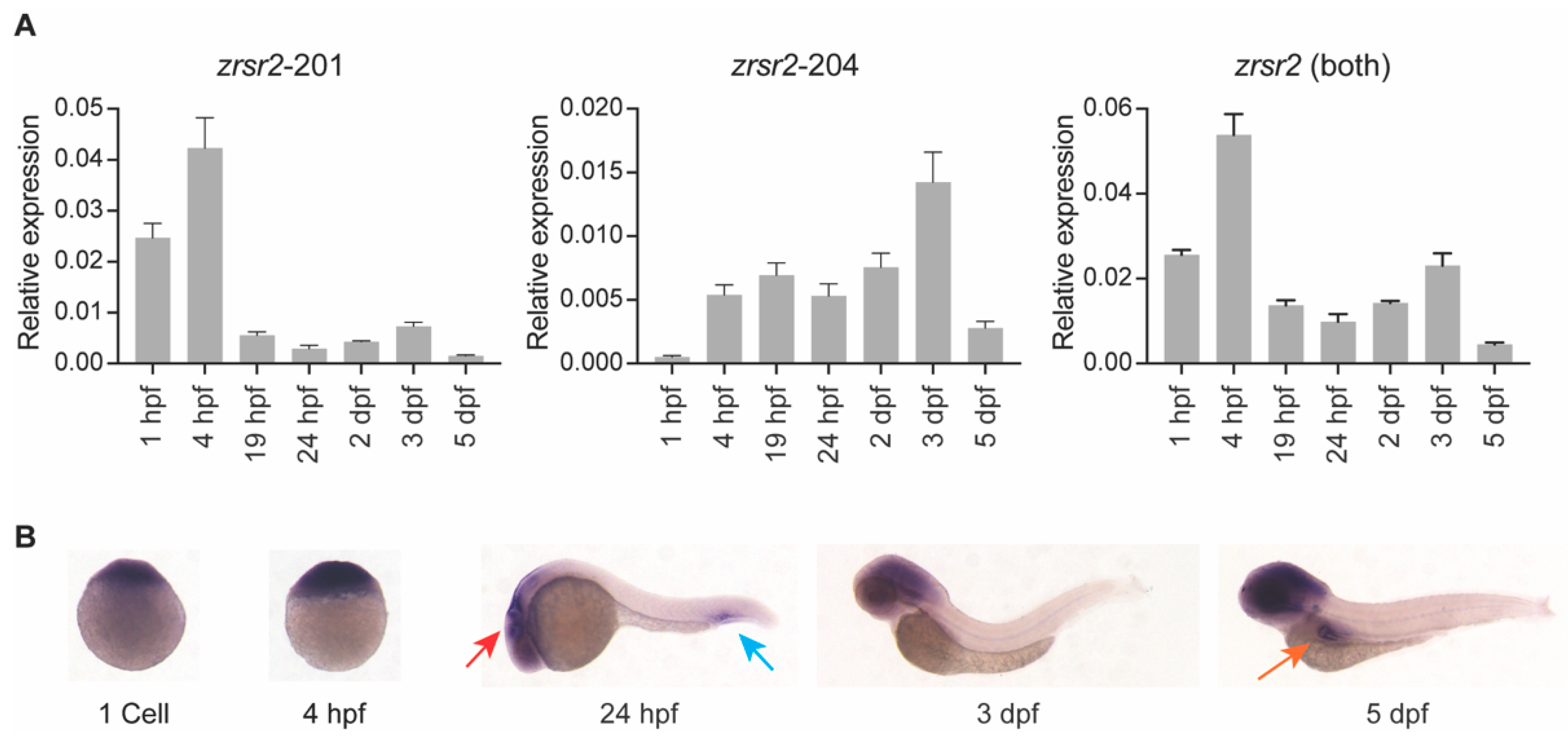 Ijms 23 10668 g002 550