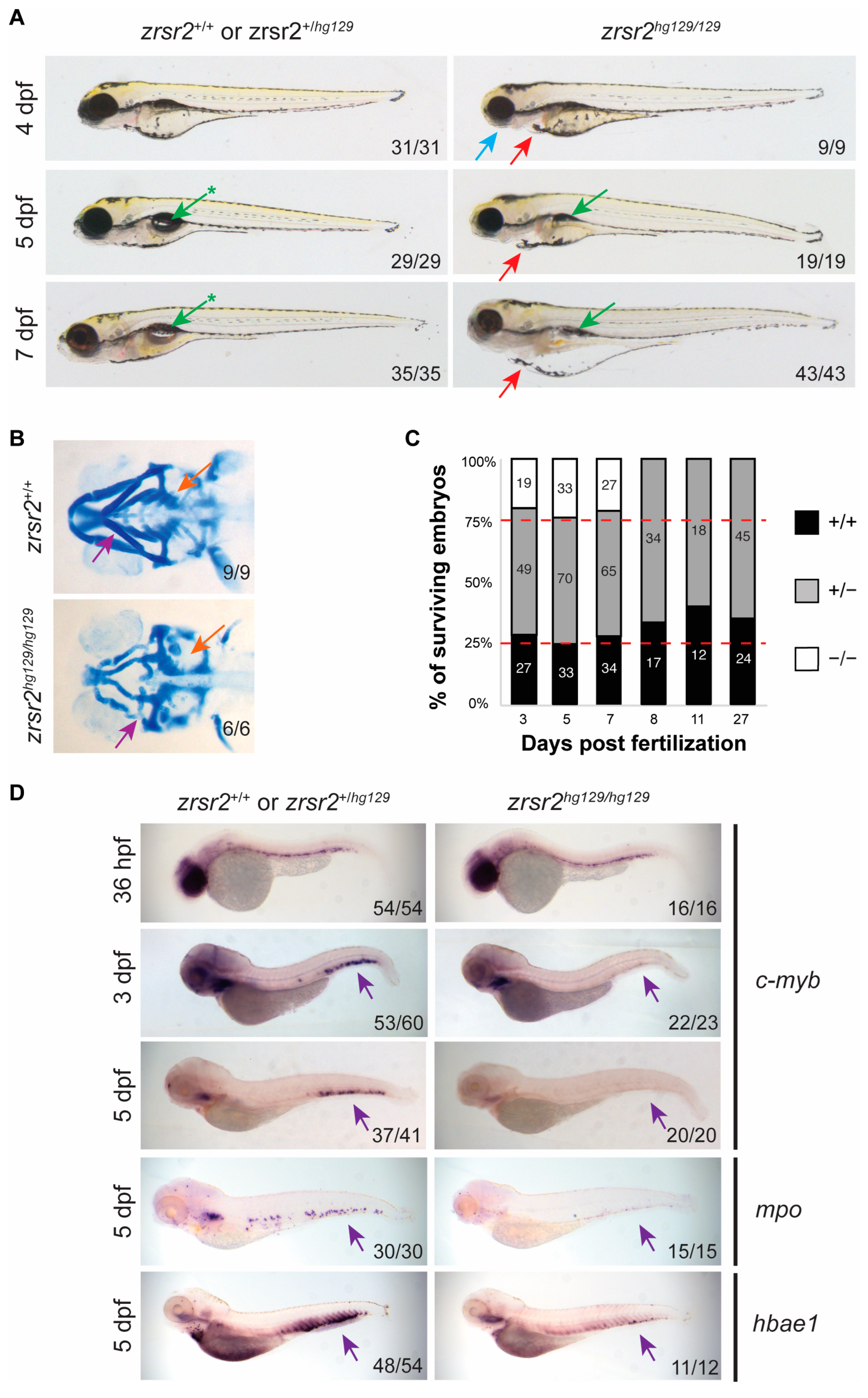 Ijms 23 10668 g003 550