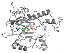 Ijms 23 10669 i001 Ijms 23 10669 i001