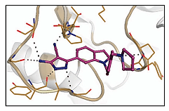 Ijms 23 10669 i003 Ijms 23 10669 i003