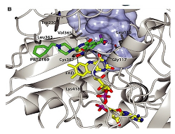Ijms 23 10669 i007 Ijms 23 10669 i007