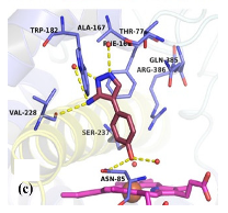 Ijms 23 10669 i013 Ijms 23 10669 i013