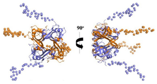 Ijms 23 10669 i017 Ijms 23 10669 i017