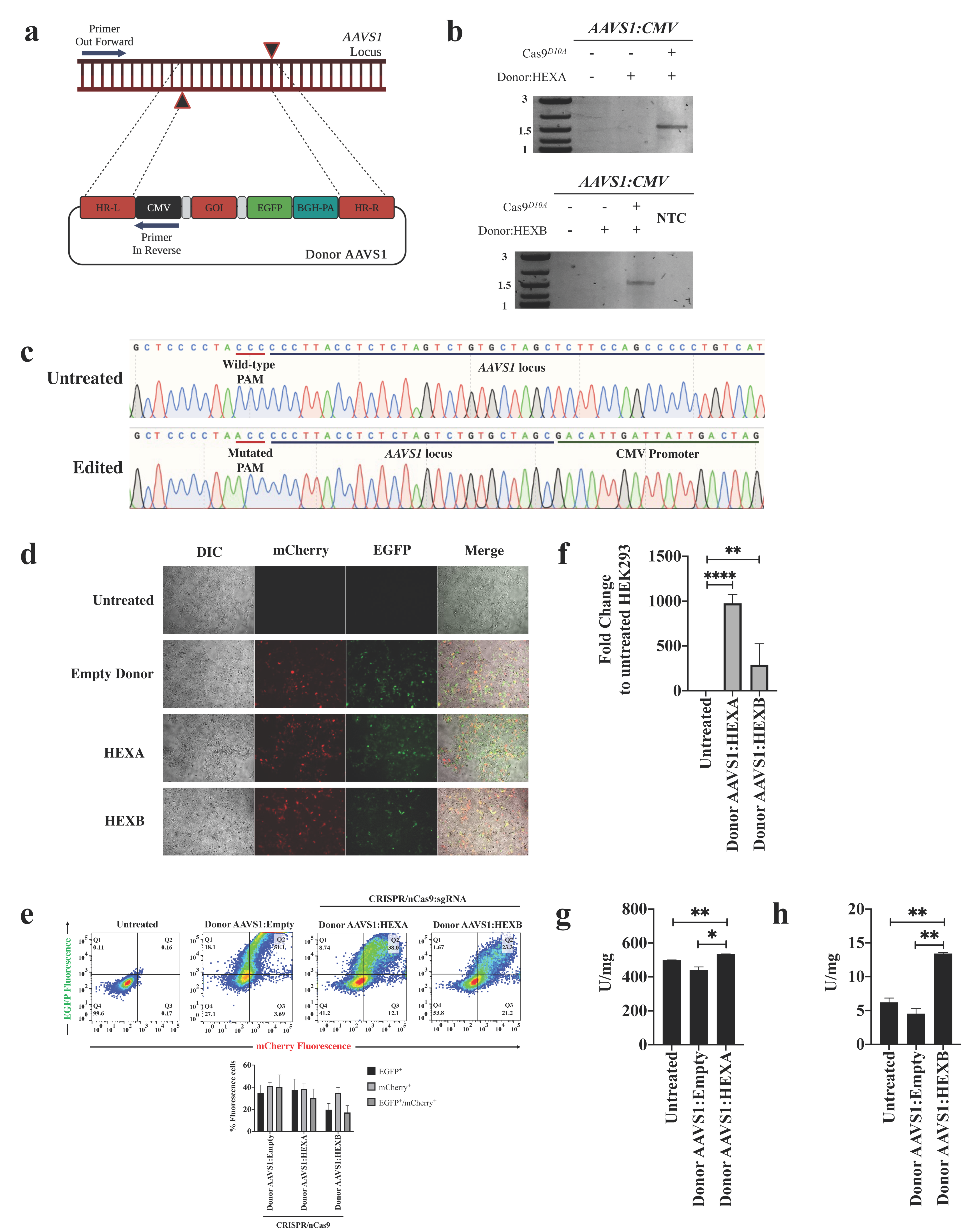 Ijms 23 10672 g001 550
