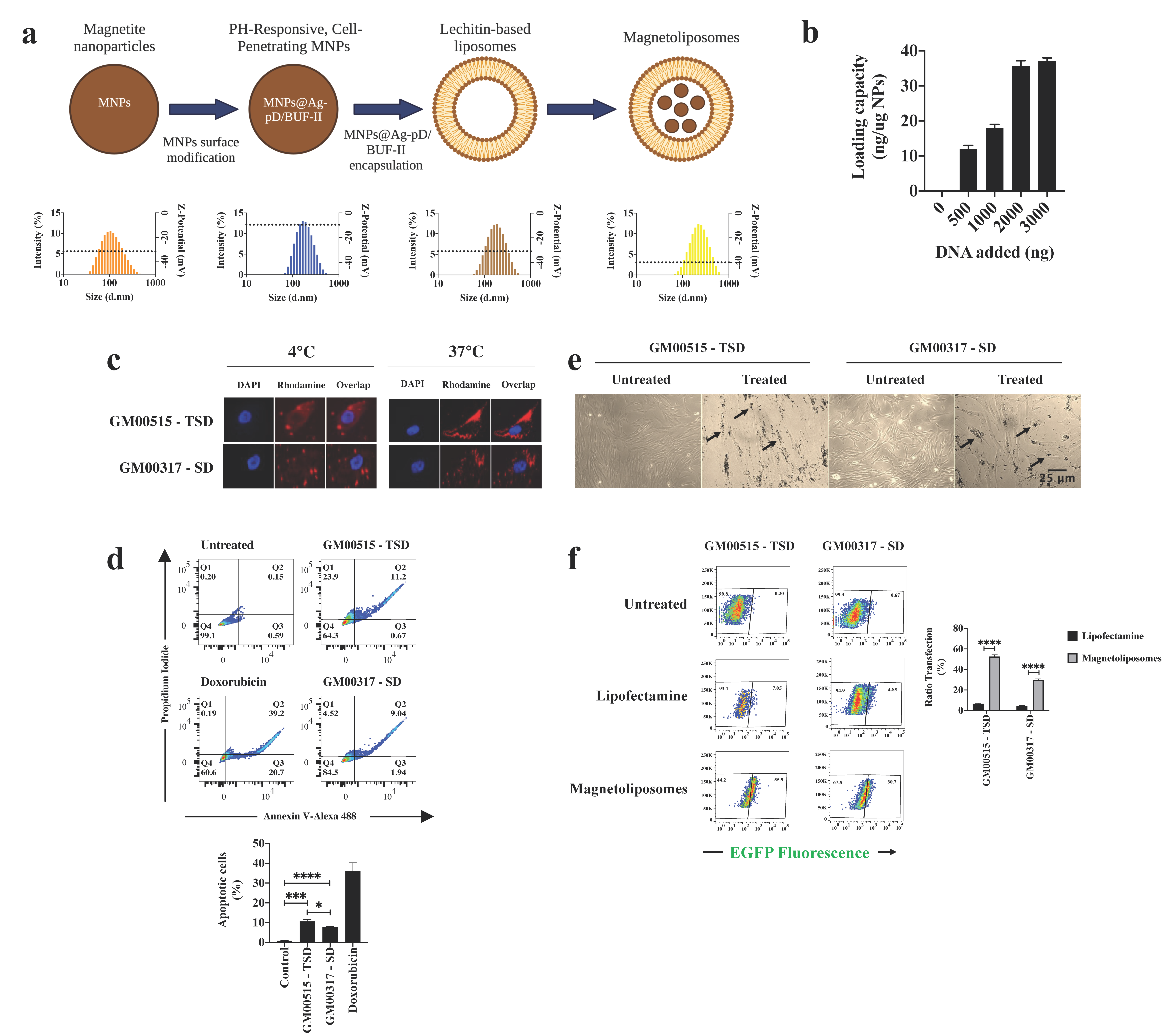 Ijms 23 10672 g003 550