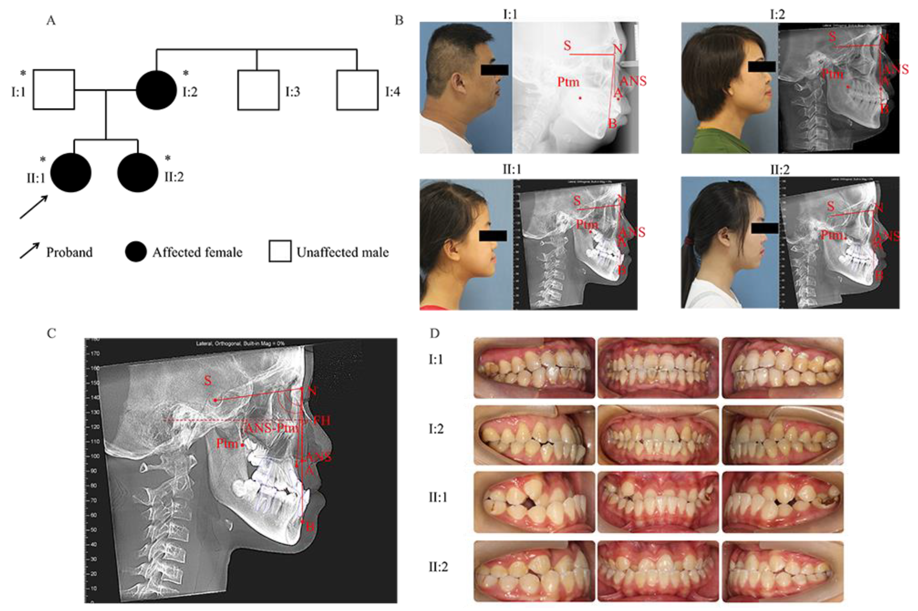 Ijms 23 10673 g001 550