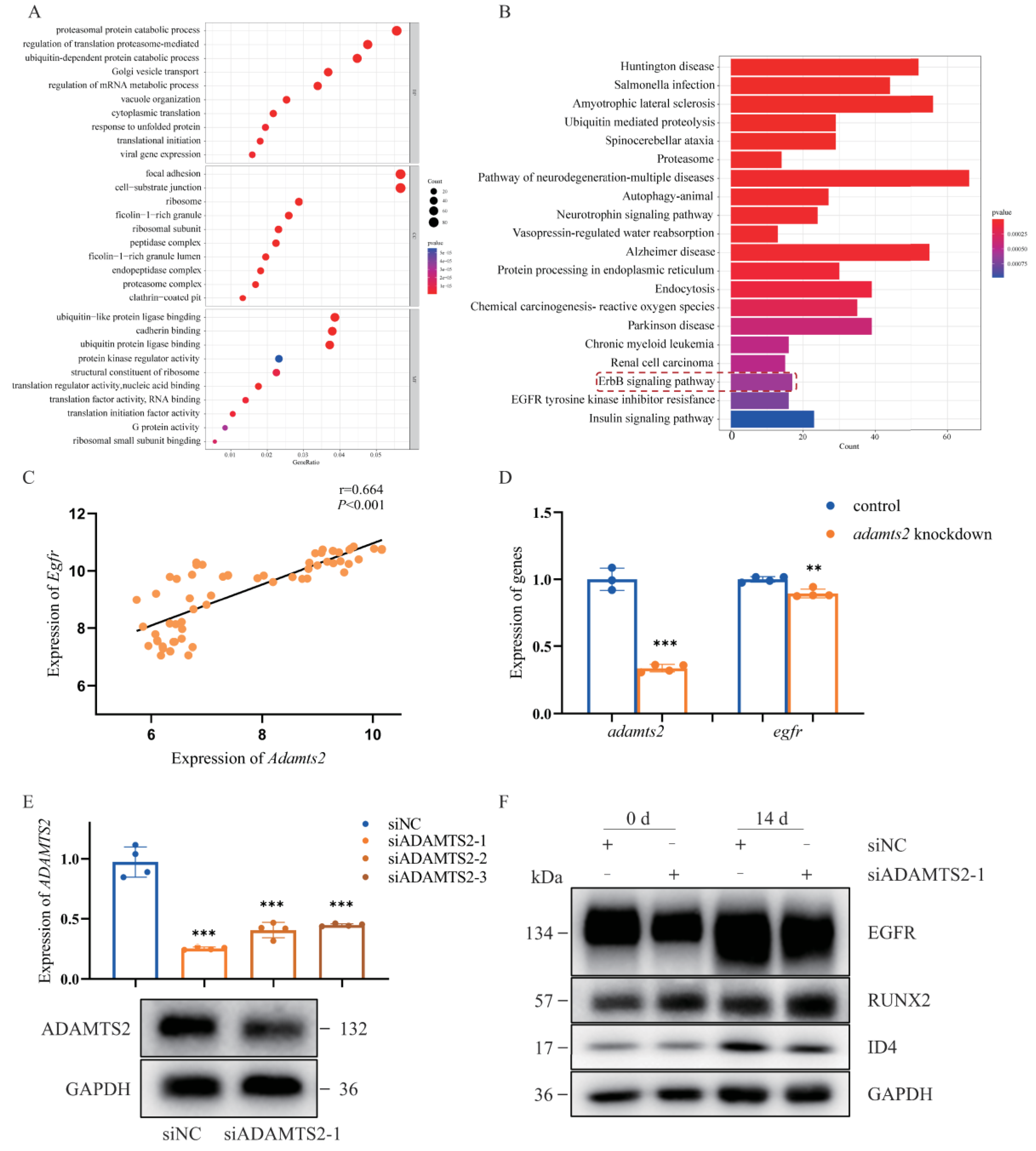 Ijms 23 10673 g004 550