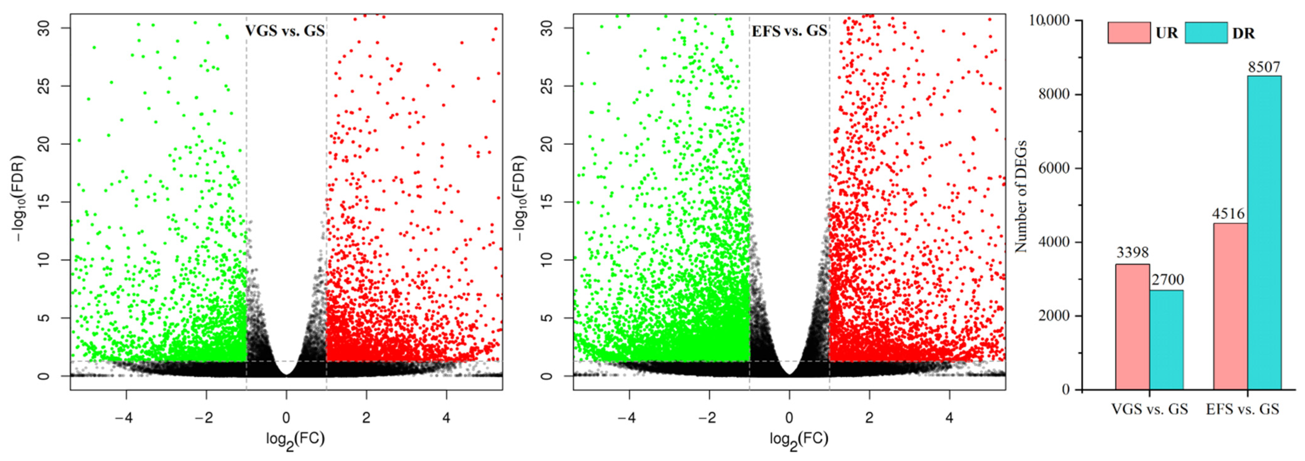 Ijms 23 10675 g004 550