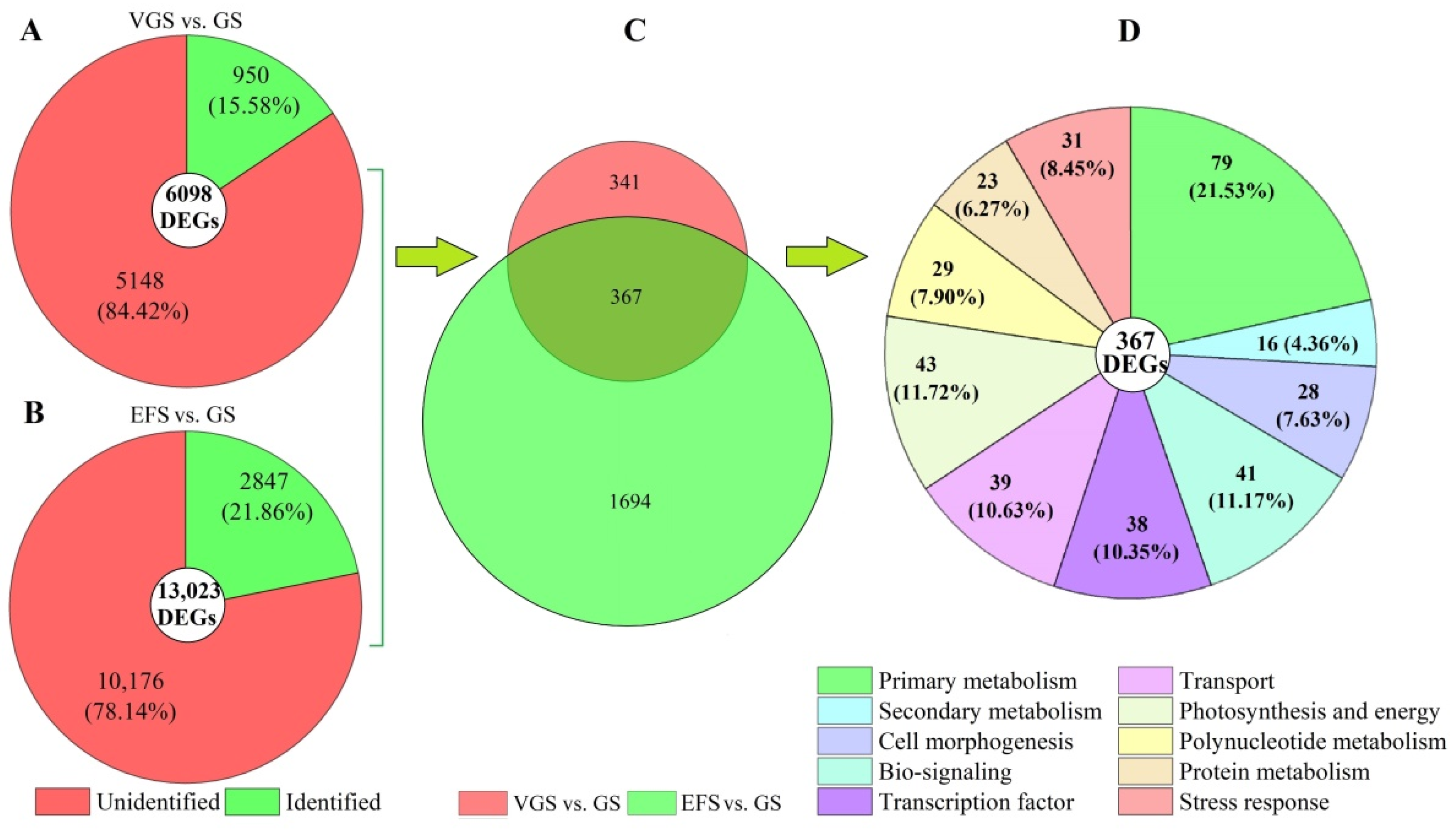 Ijms 23 10675 g005 550