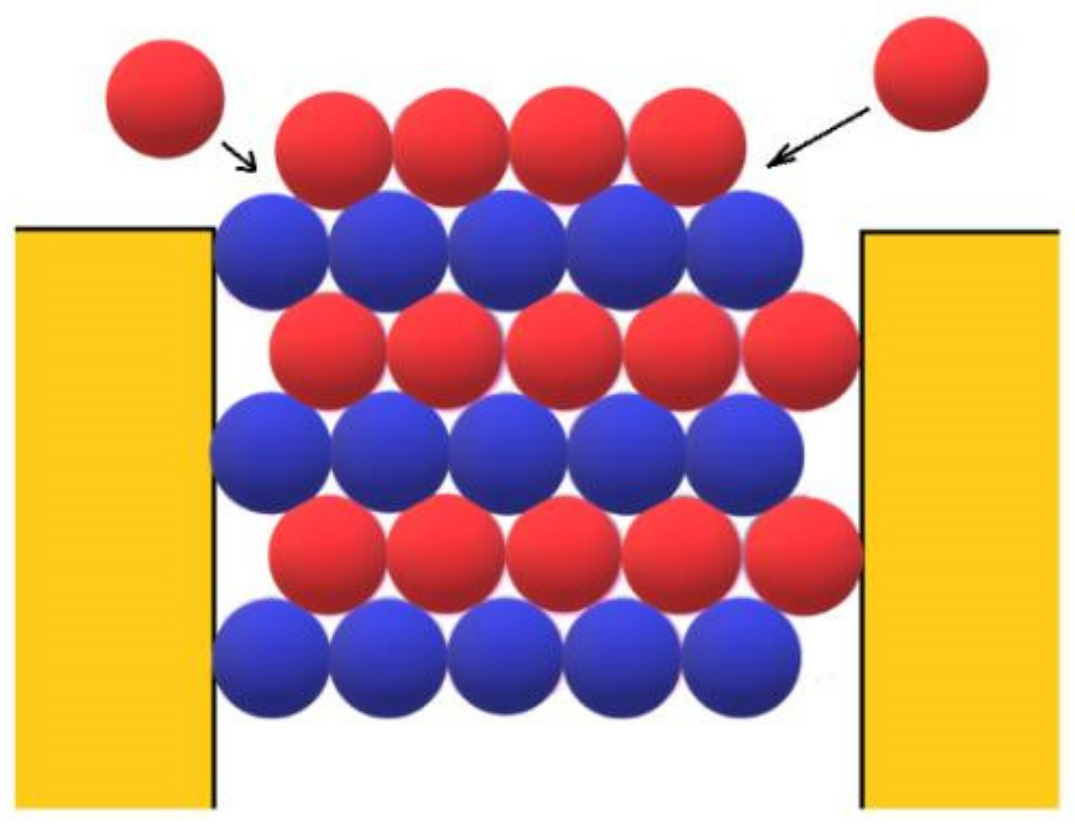 Ijms 23 10676 g003 550