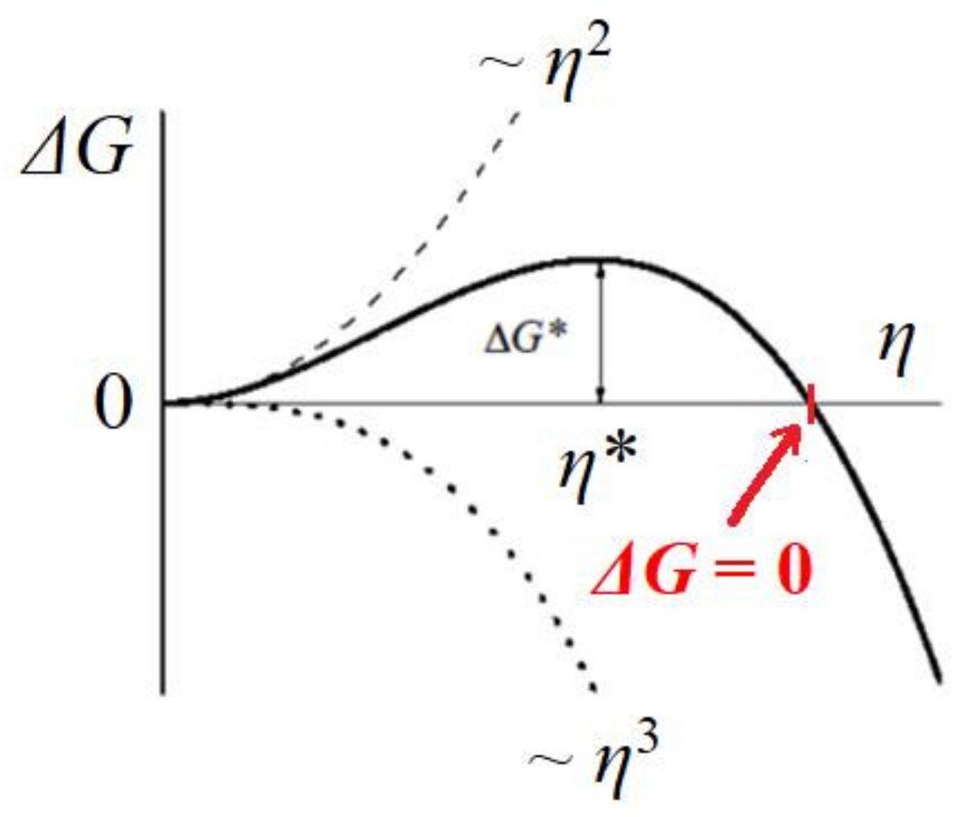 Ijms 23 10676 g005 550