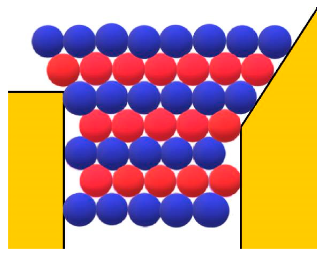 Ijms 23 10676 g007 550