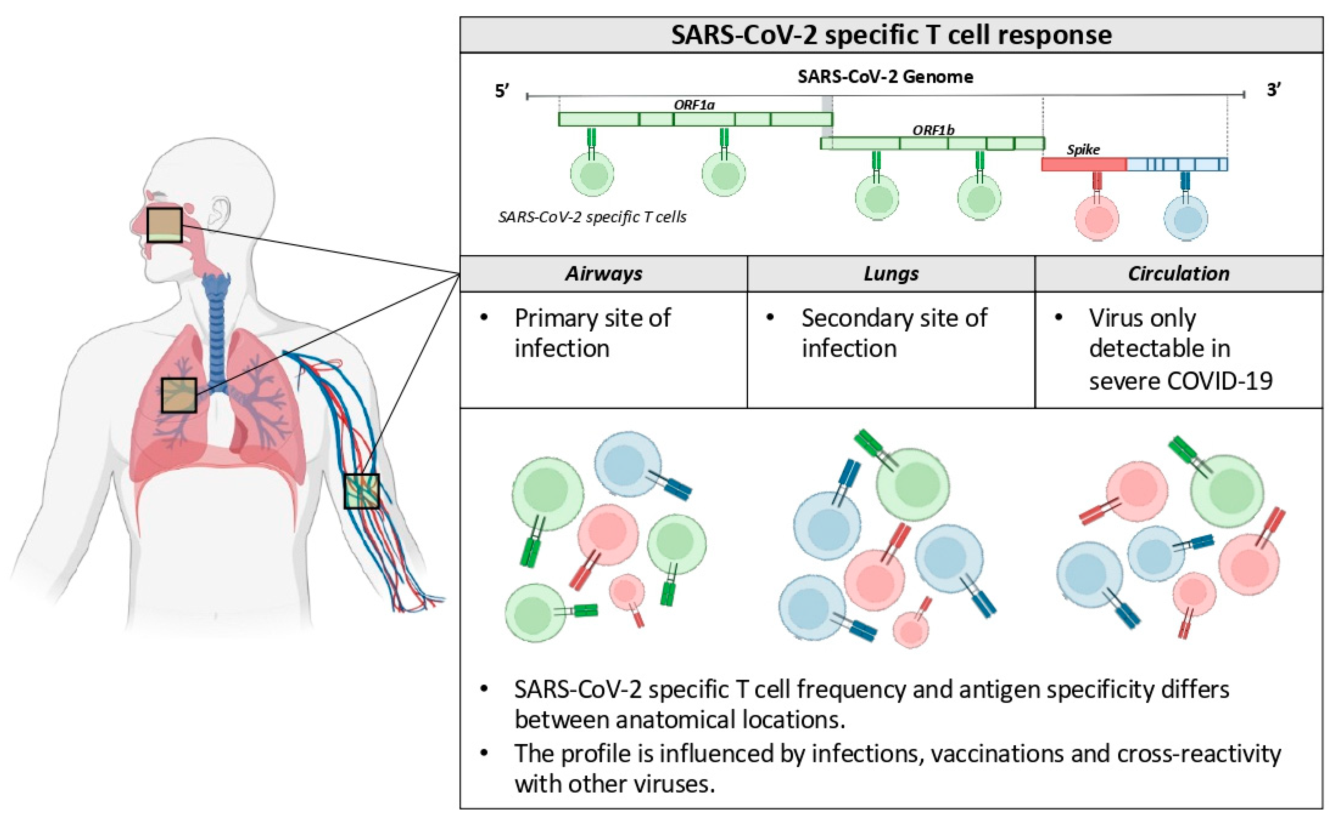 Ijms 23 10679 g001 550