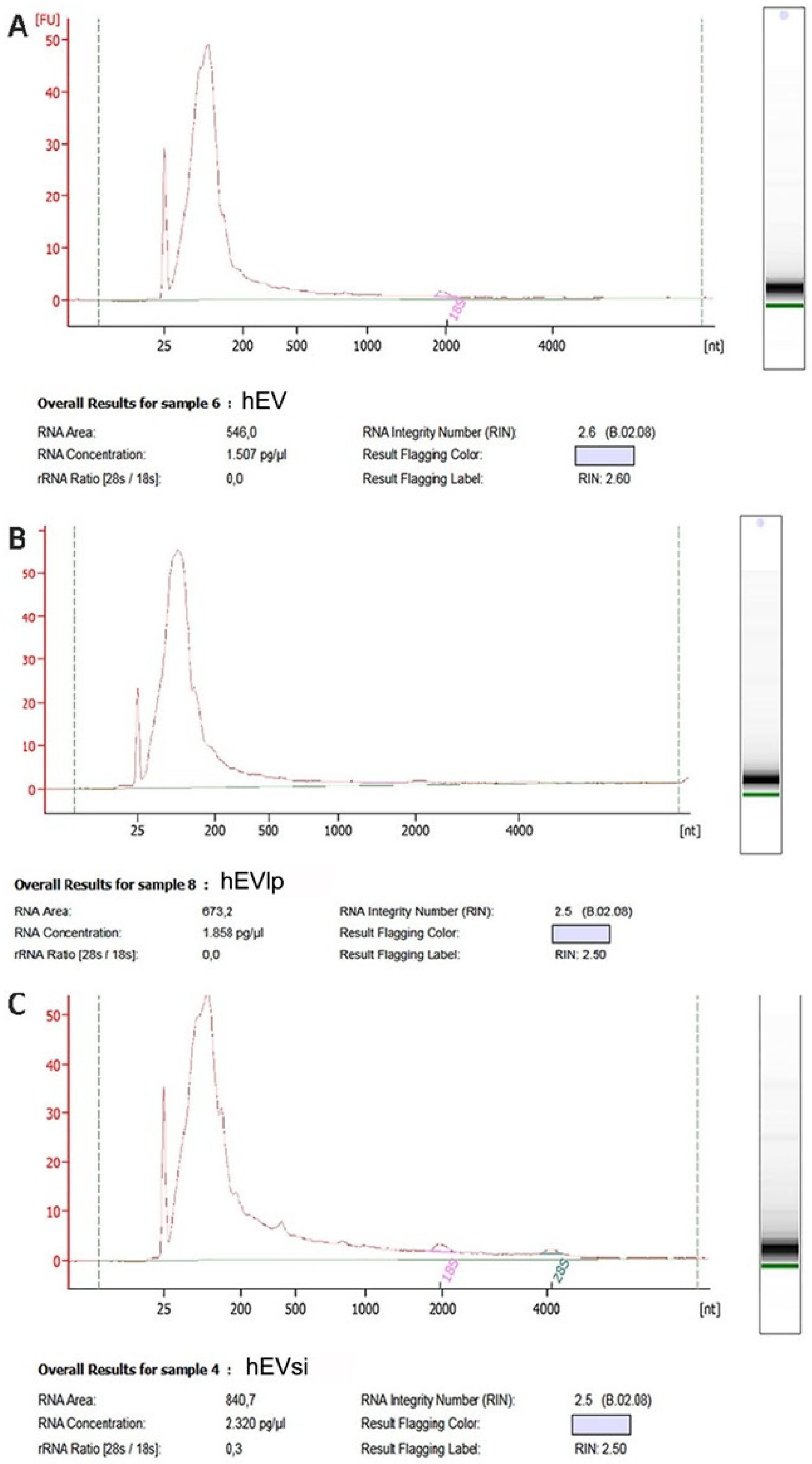 Ijms 23 10681 g004 Ijms 23 10681 g004