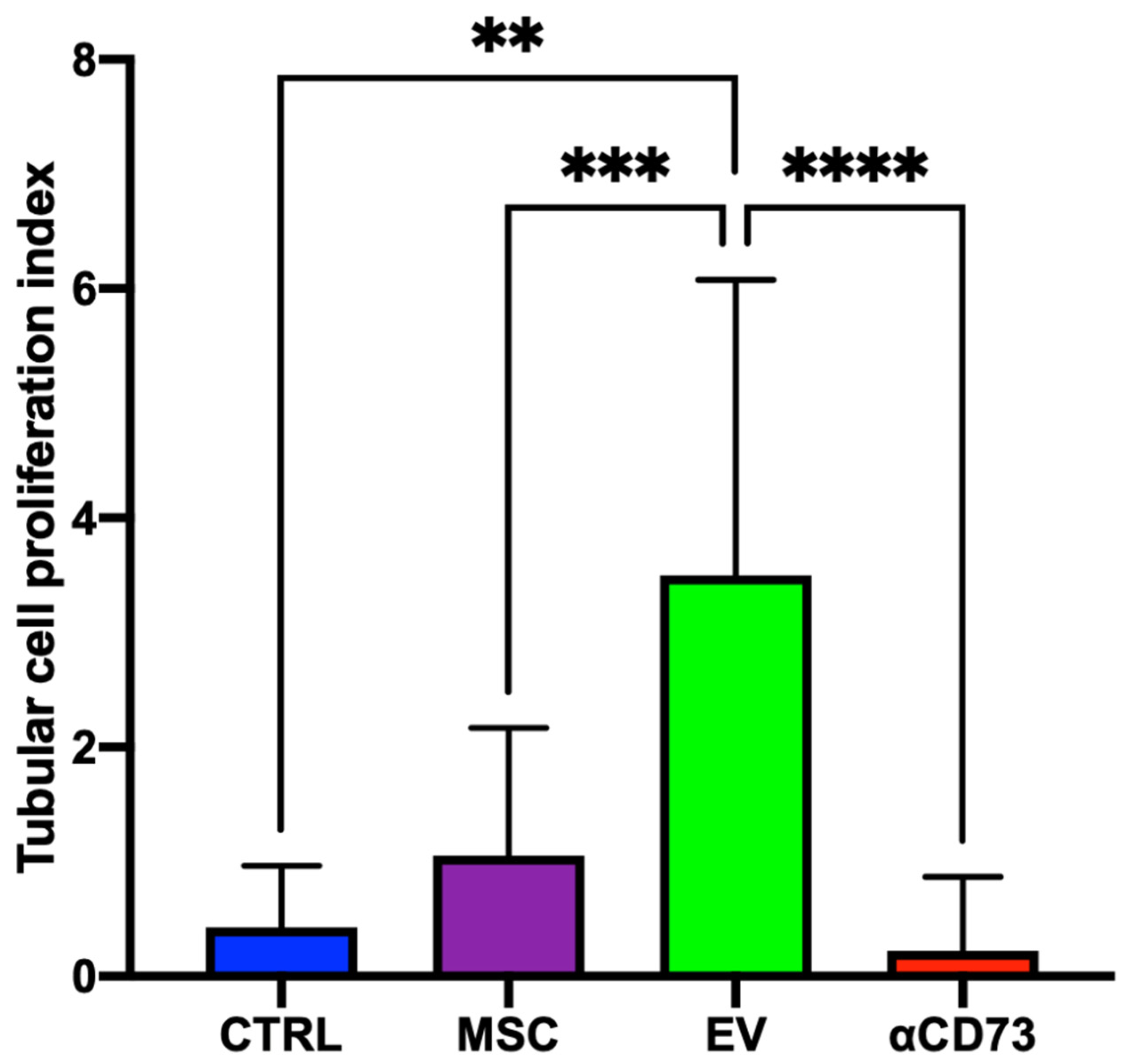 Ijms 23 10681 g006 Ijms 23 10681 g006