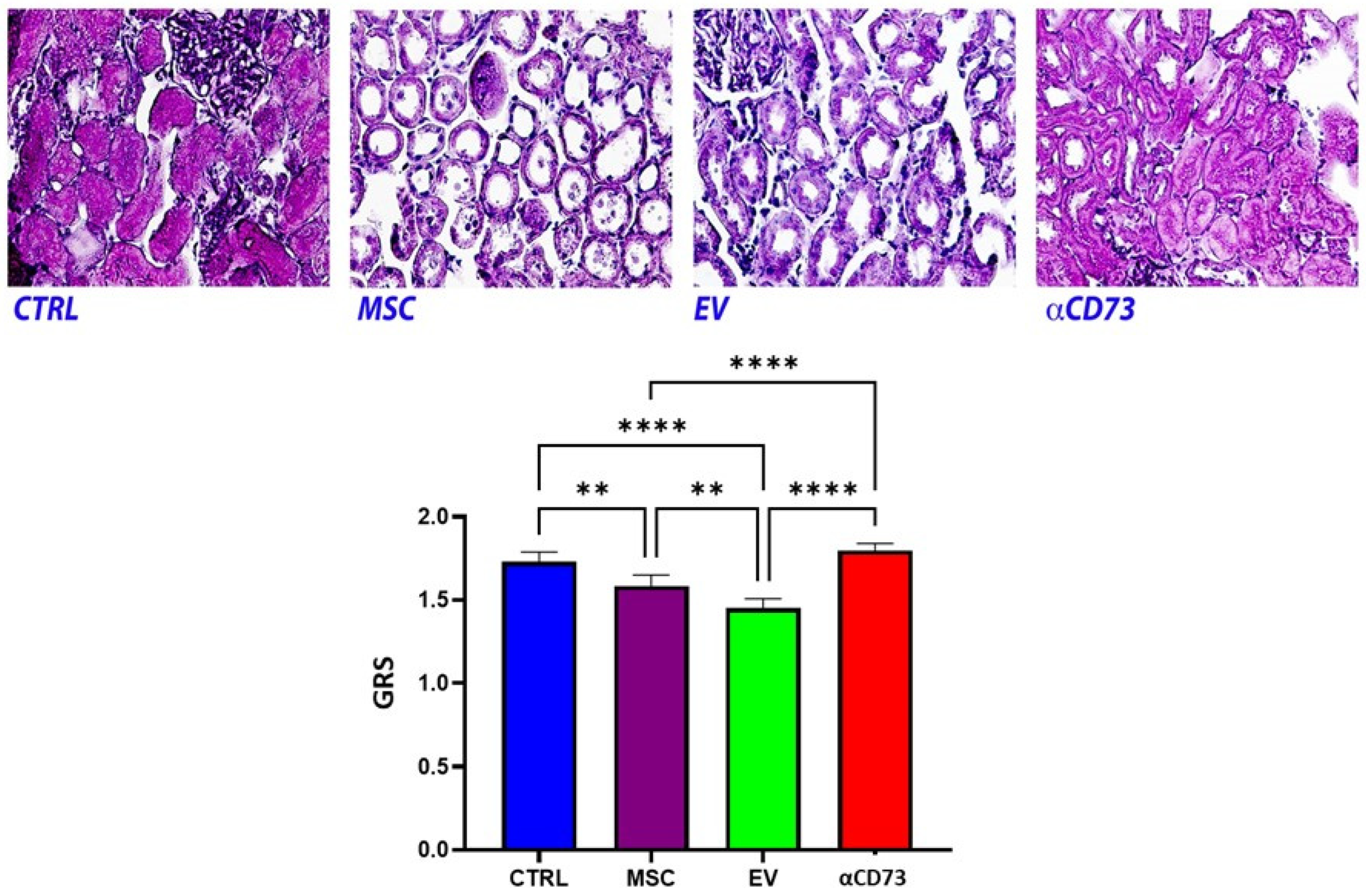 Ijms 23 10681 g007 Ijms 23 10681 g007