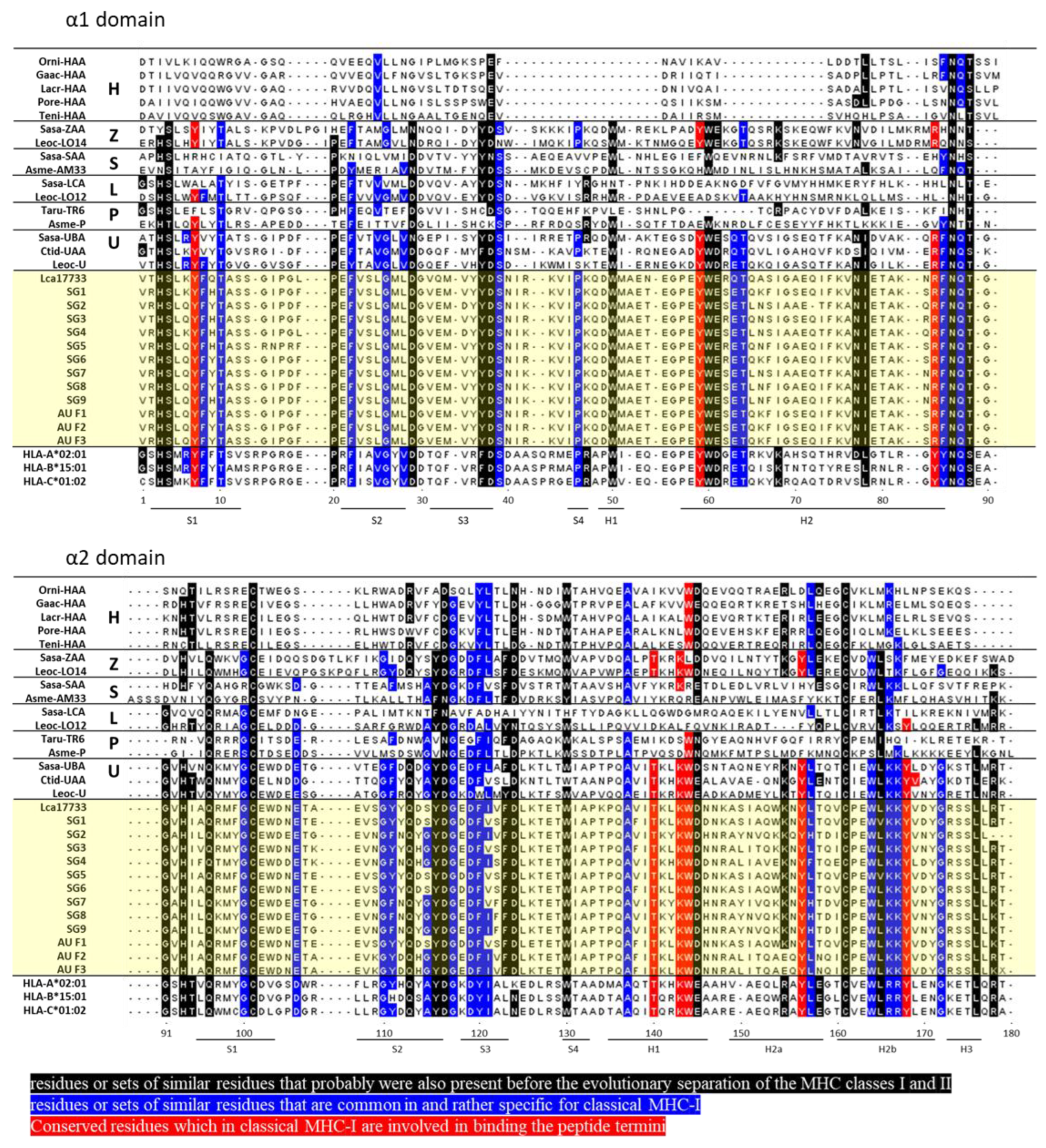 Ijms 23 10688 g001 550