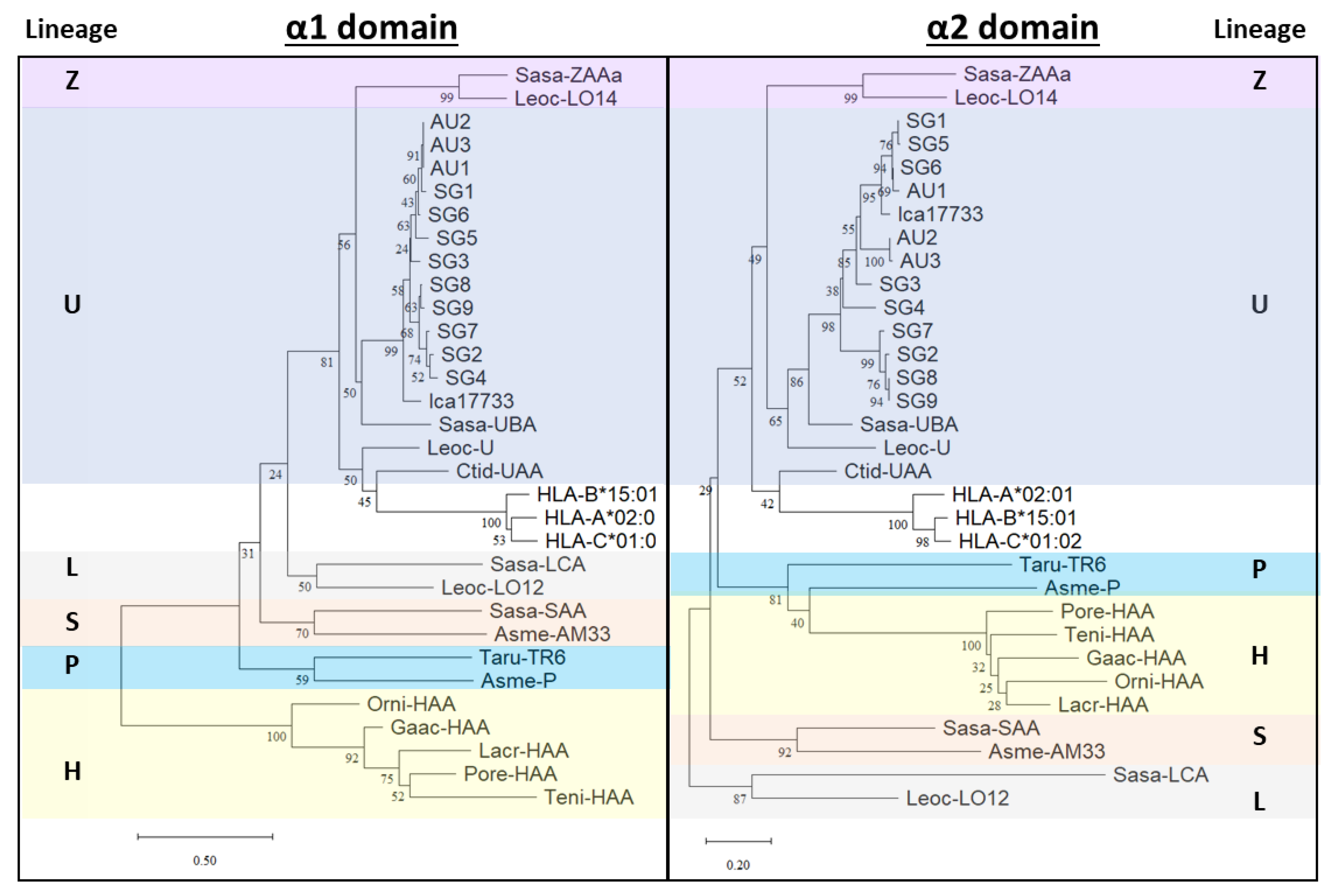 Ijms 23 10688 g003 550
