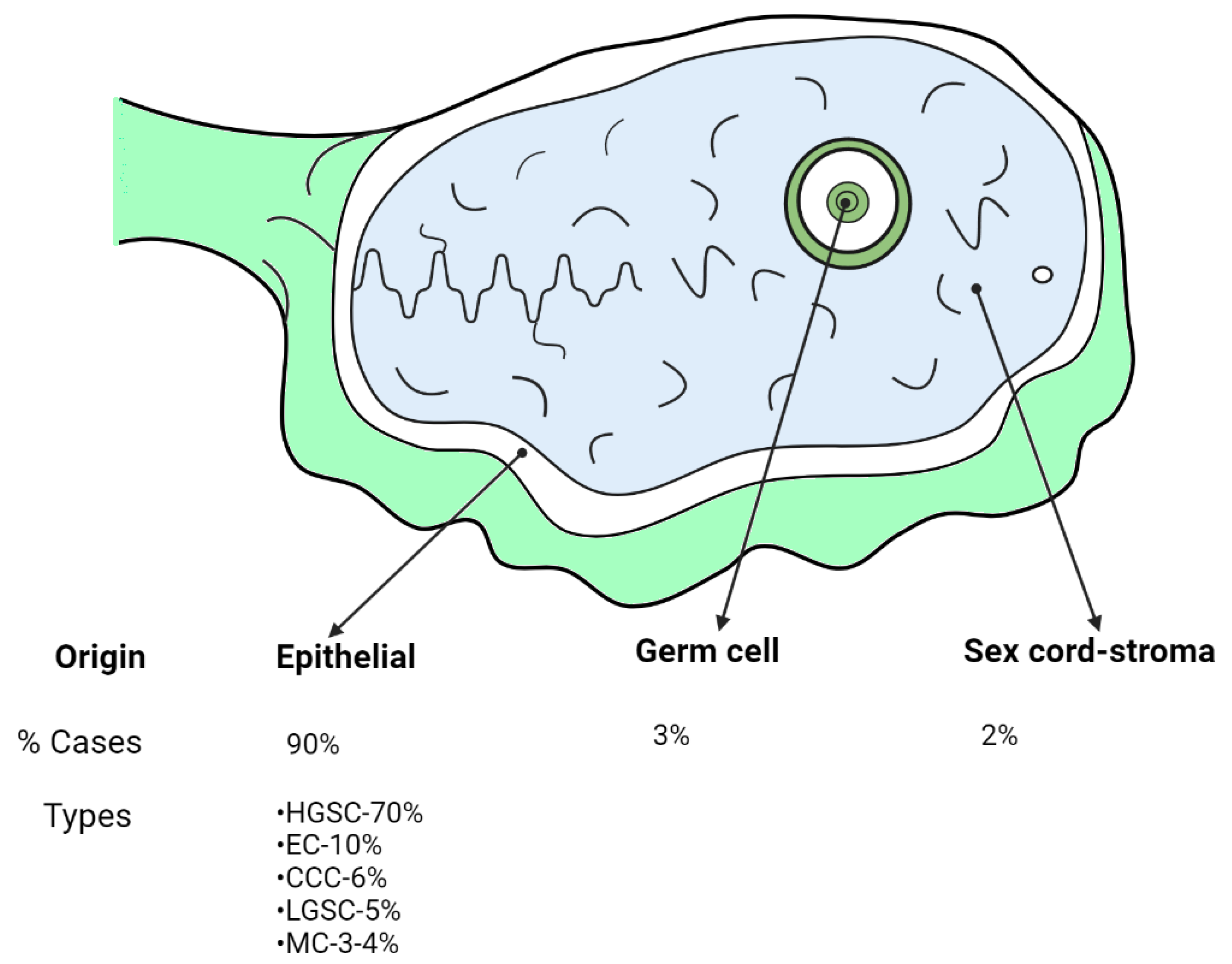 ijms-free-full-text-immune-tumor-microenvironment-in-ovarian-cancer