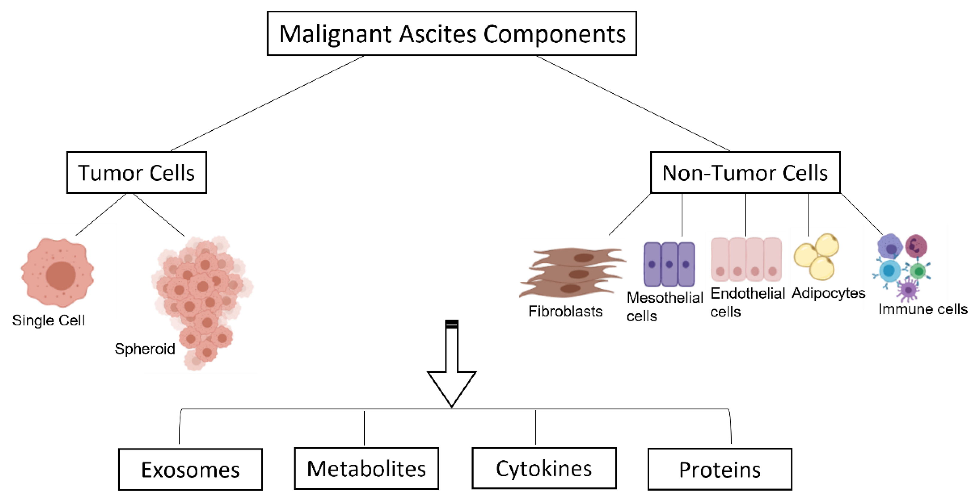 Ijms 23 10692 g002 Ijms 23 10692 g002