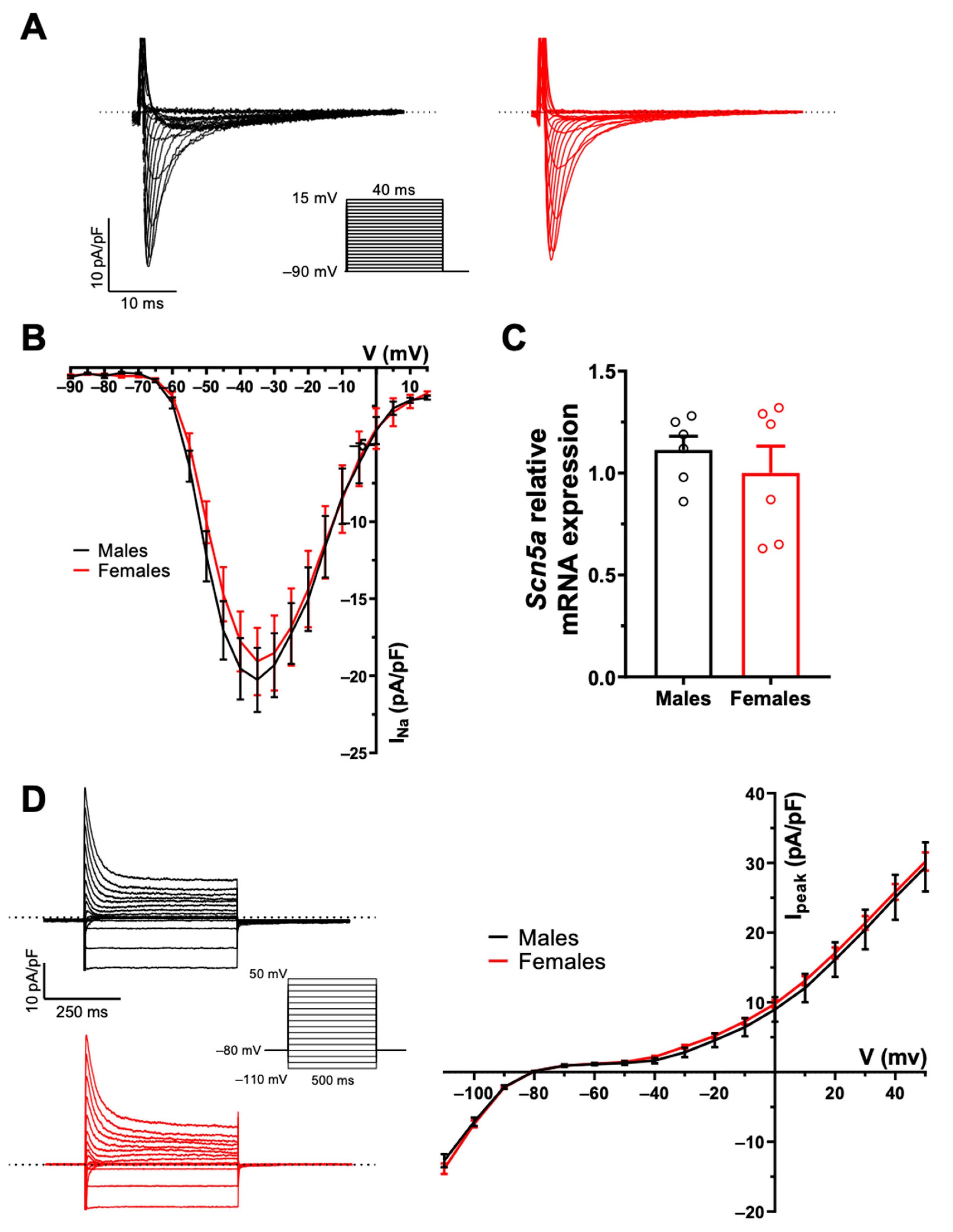 Ijms 23 10696 g002 Ijms 23 10696 g002