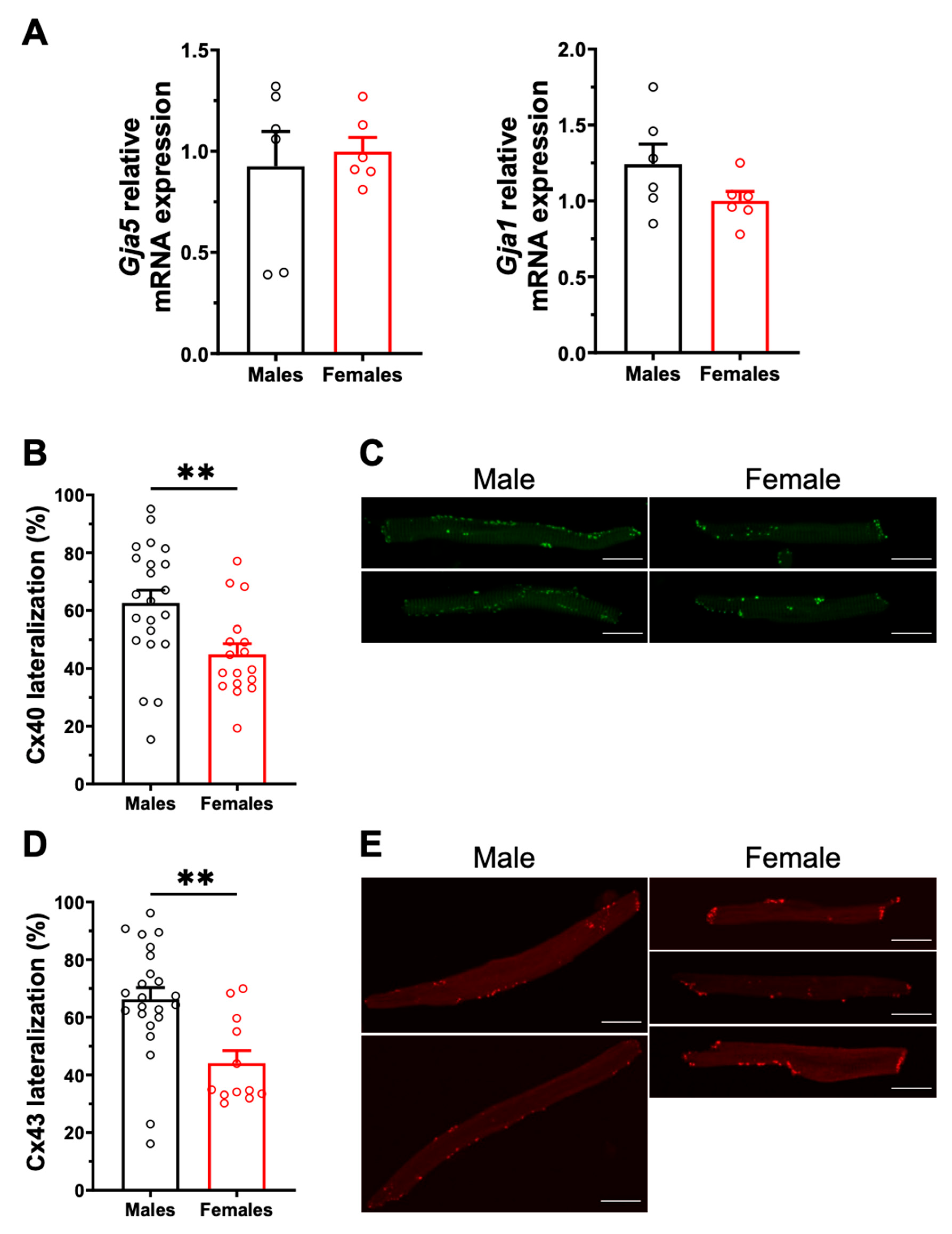 Ijms 23 10696 g003 Ijms 23 10696 g003