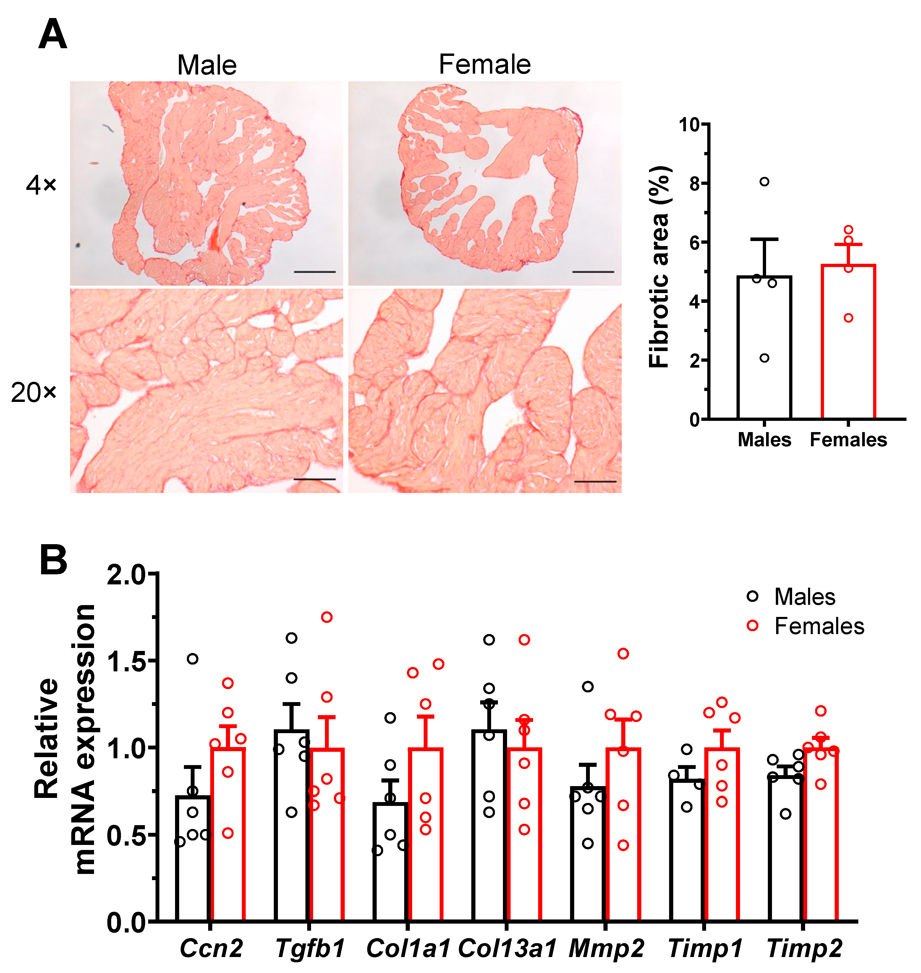 Ijms 23 10696 g004 Ijms 23 10696 g004