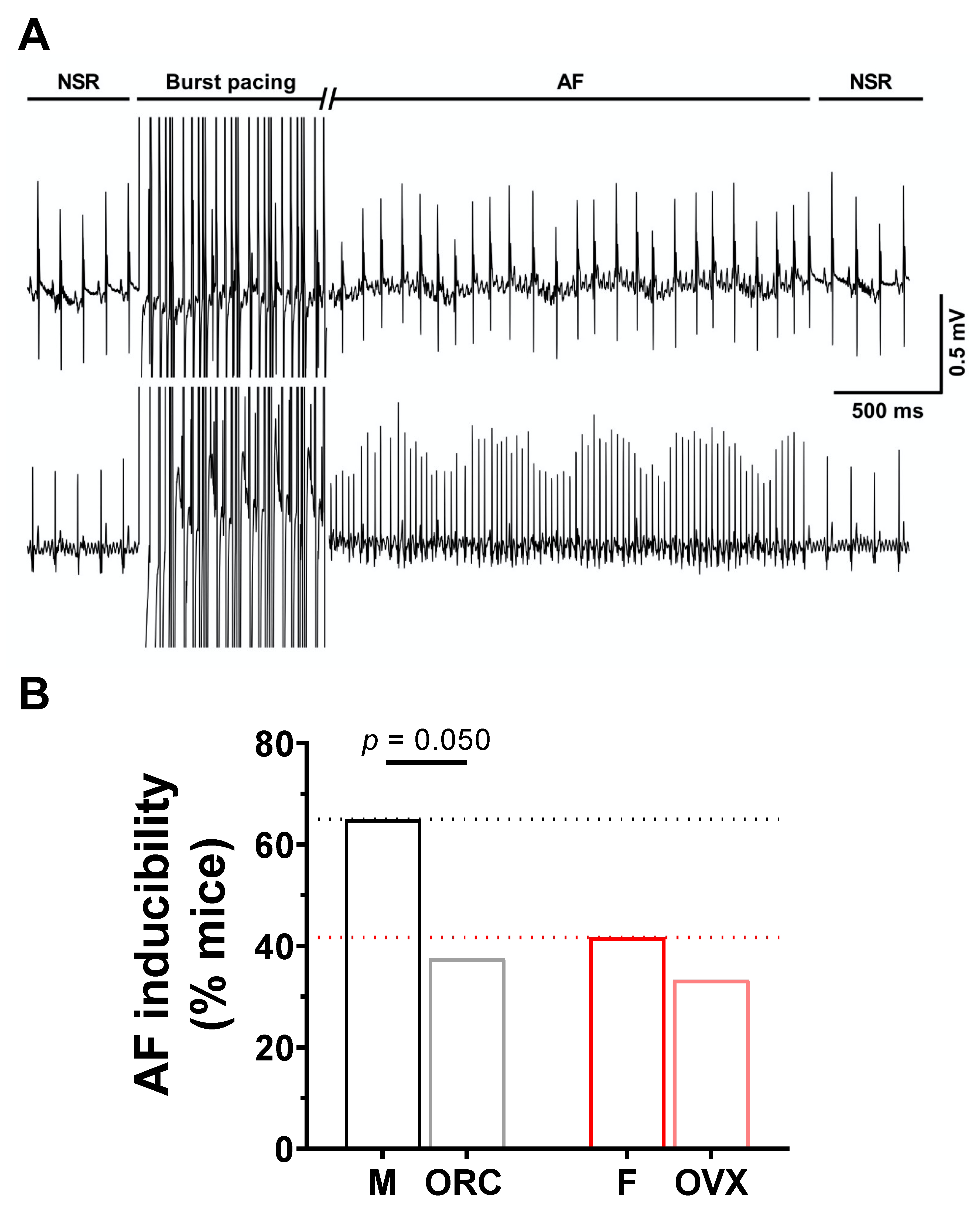 Ijms 23 10696 g006 Ijms 23 10696 g006