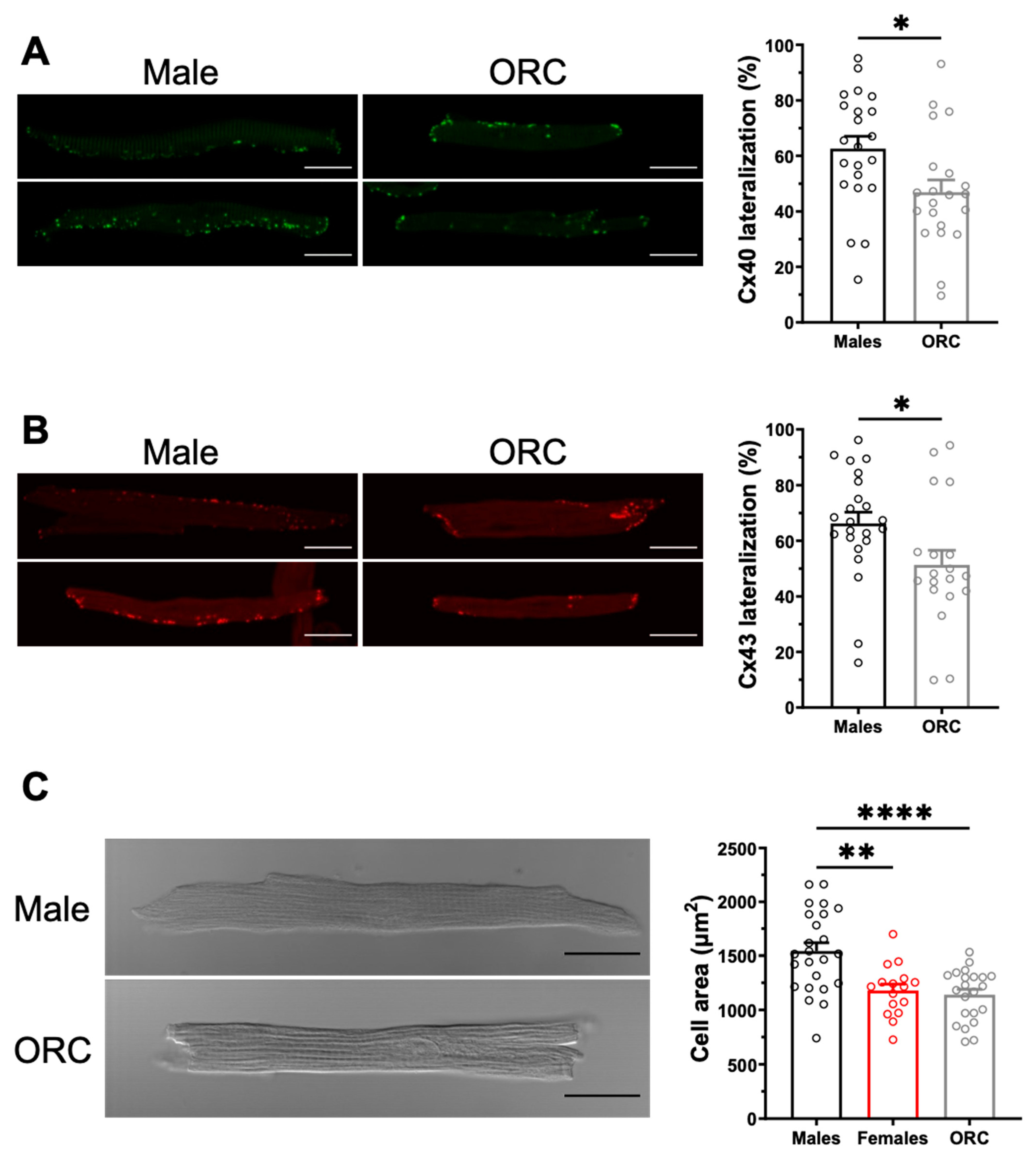 Ijms 23 10696 g007 Ijms 23 10696 g007