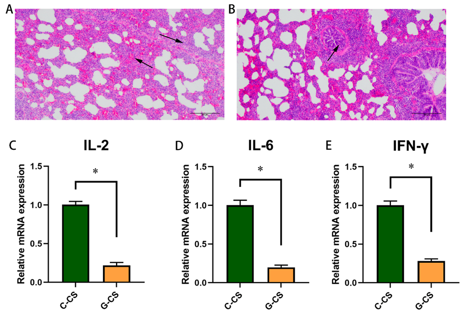 Ijms 23 10697 g005 550