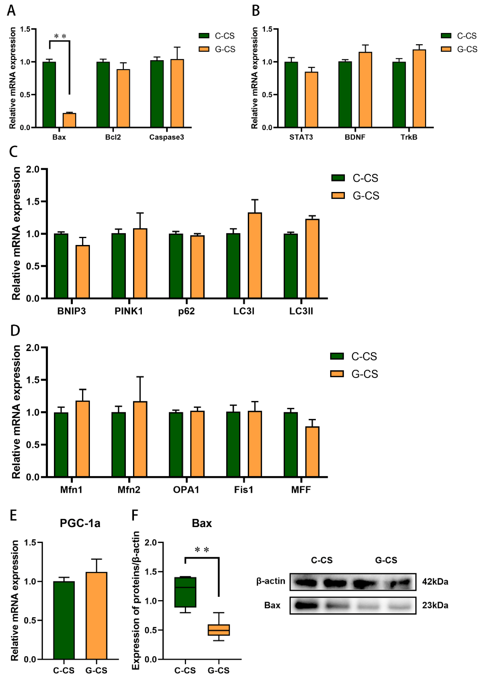 Ijms 23 10697 g007 550