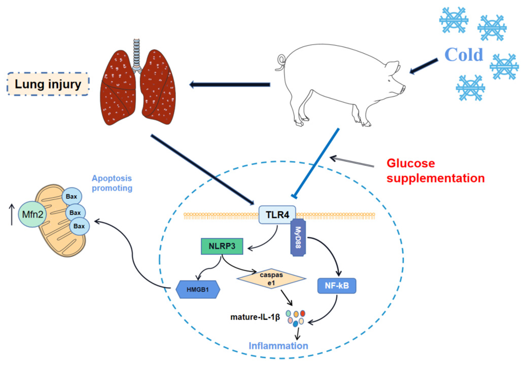 Ijms 23 10697 g008 550