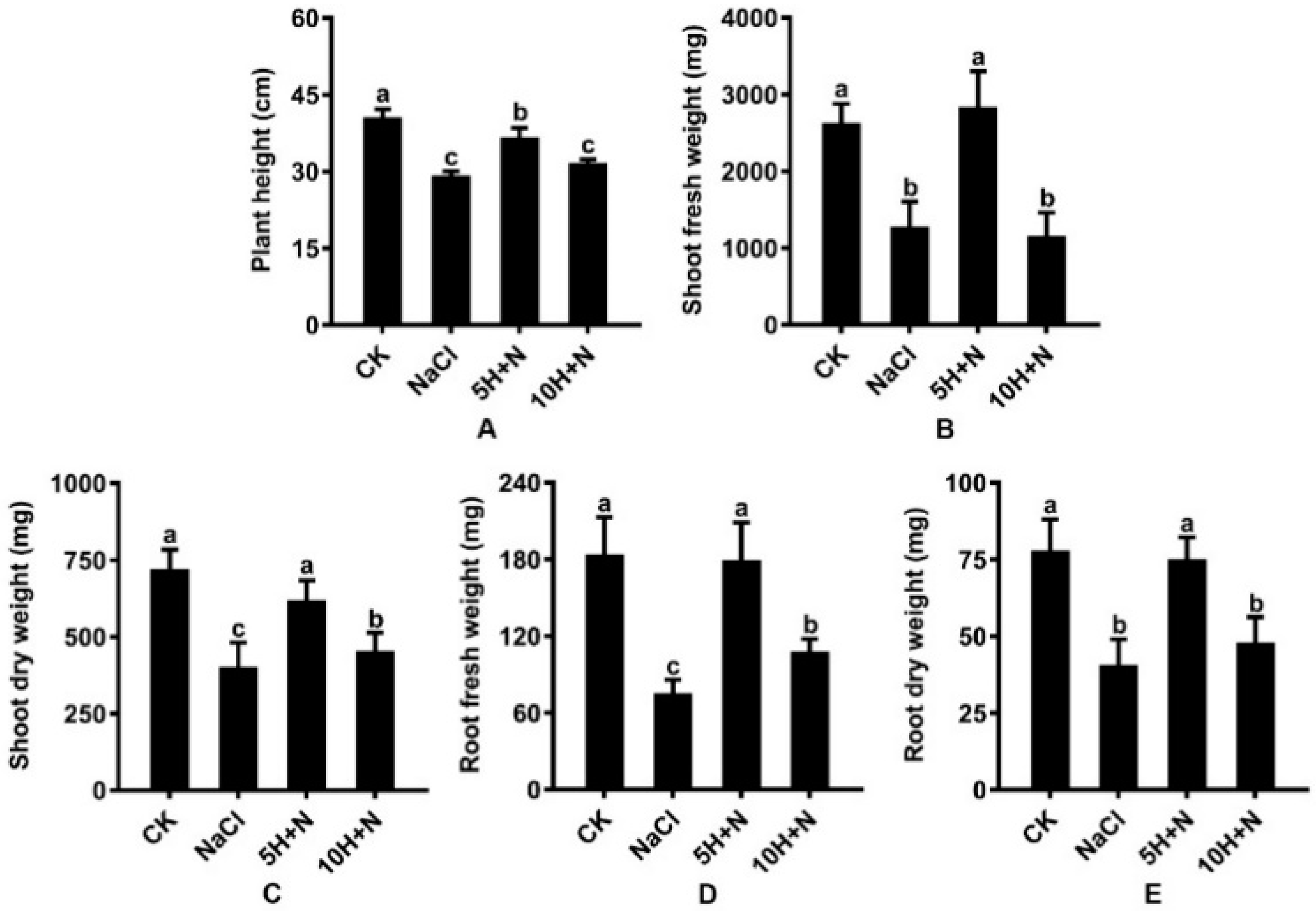 Ijms 23 10698 g002 550
