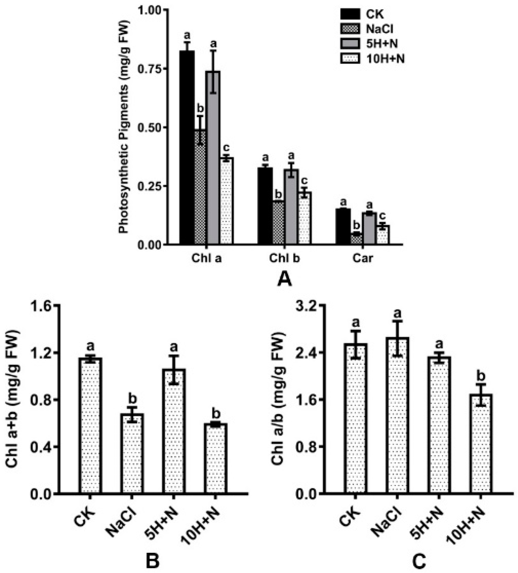 Ijms 23 10698 g004 550