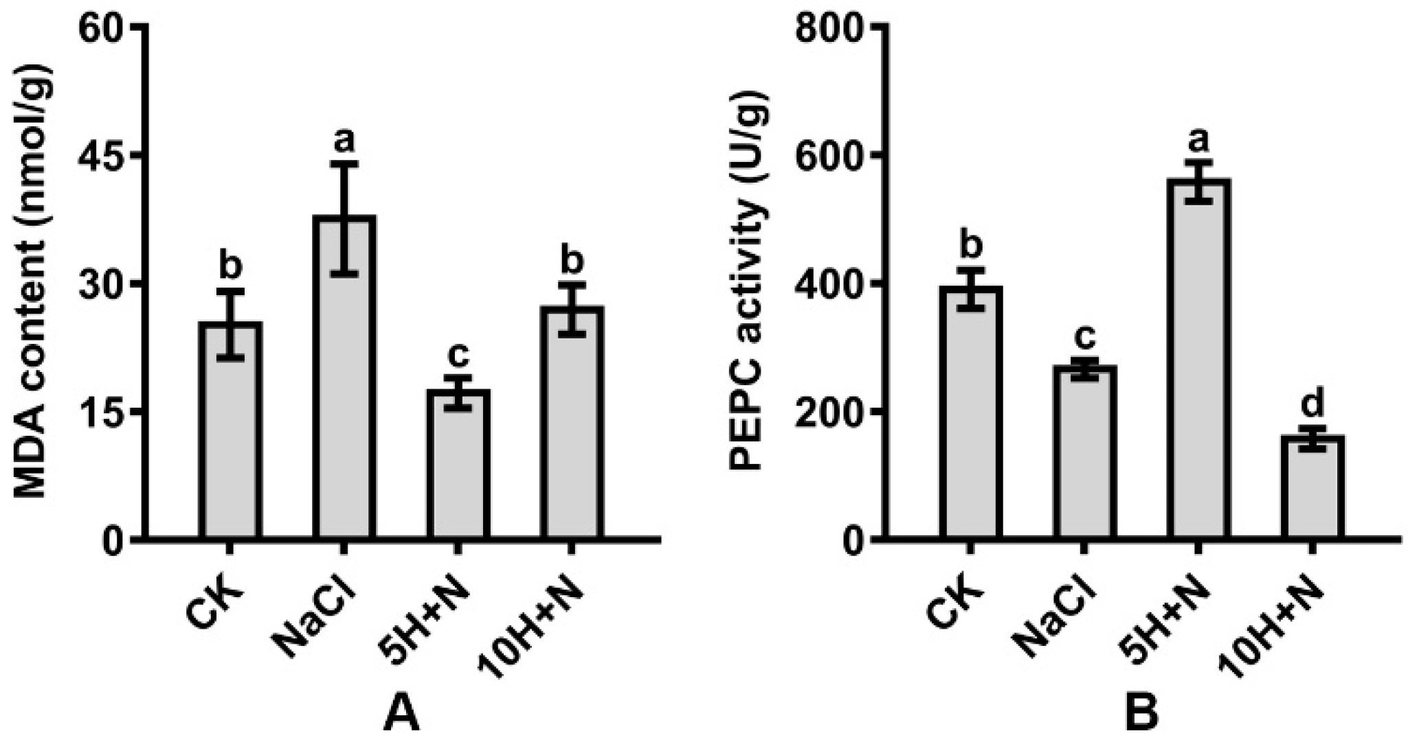Ijms 23 10698 g007 550