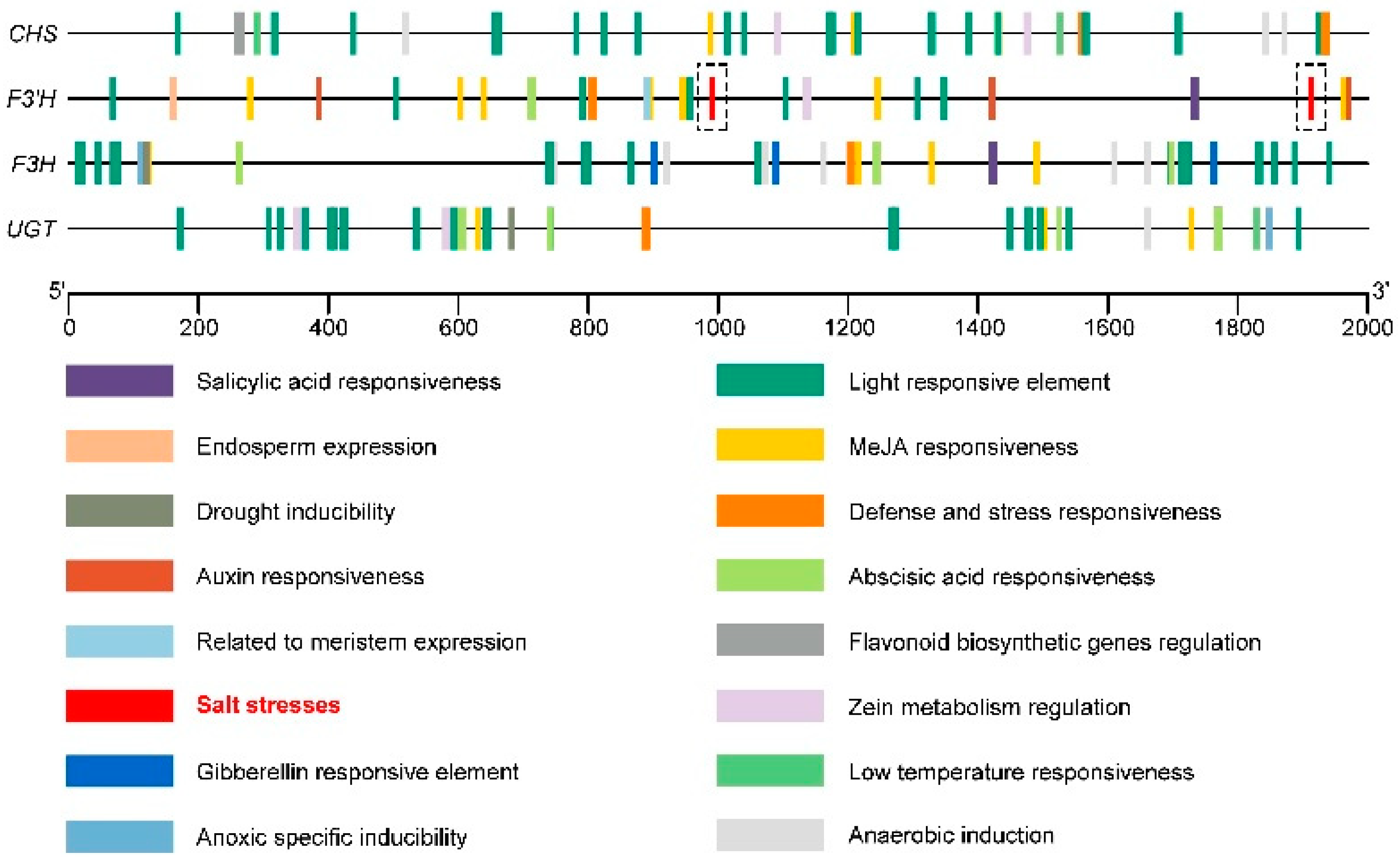 Ijms 23 10698 g009 550