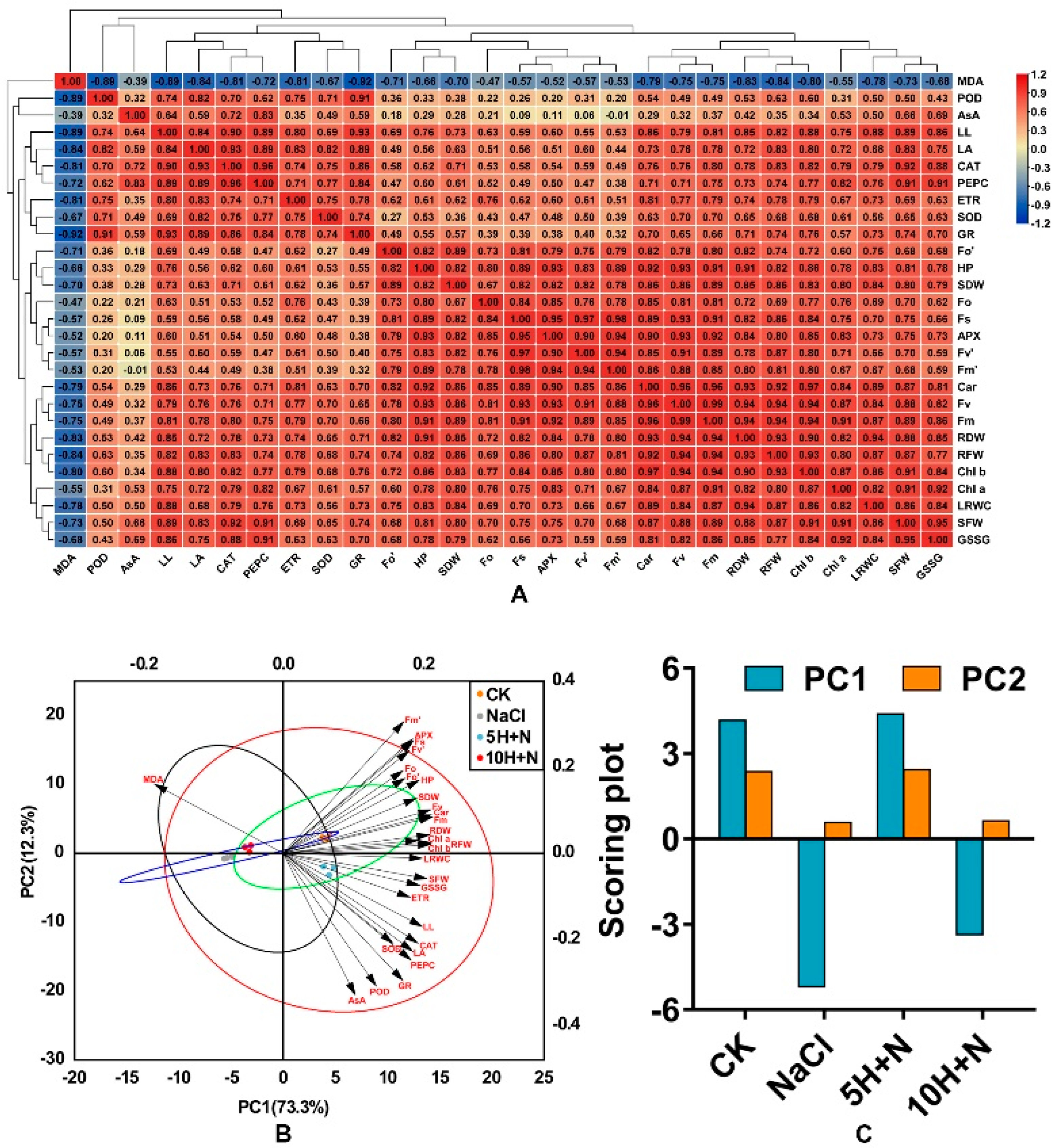 Ijms 23 10698 g010 550