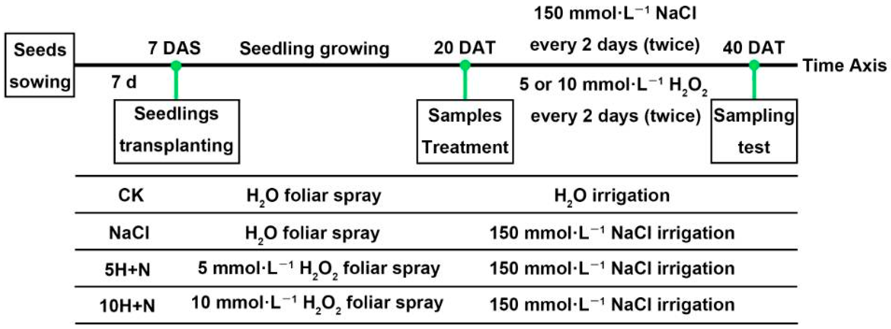 Ijms 23 10698 g011 550