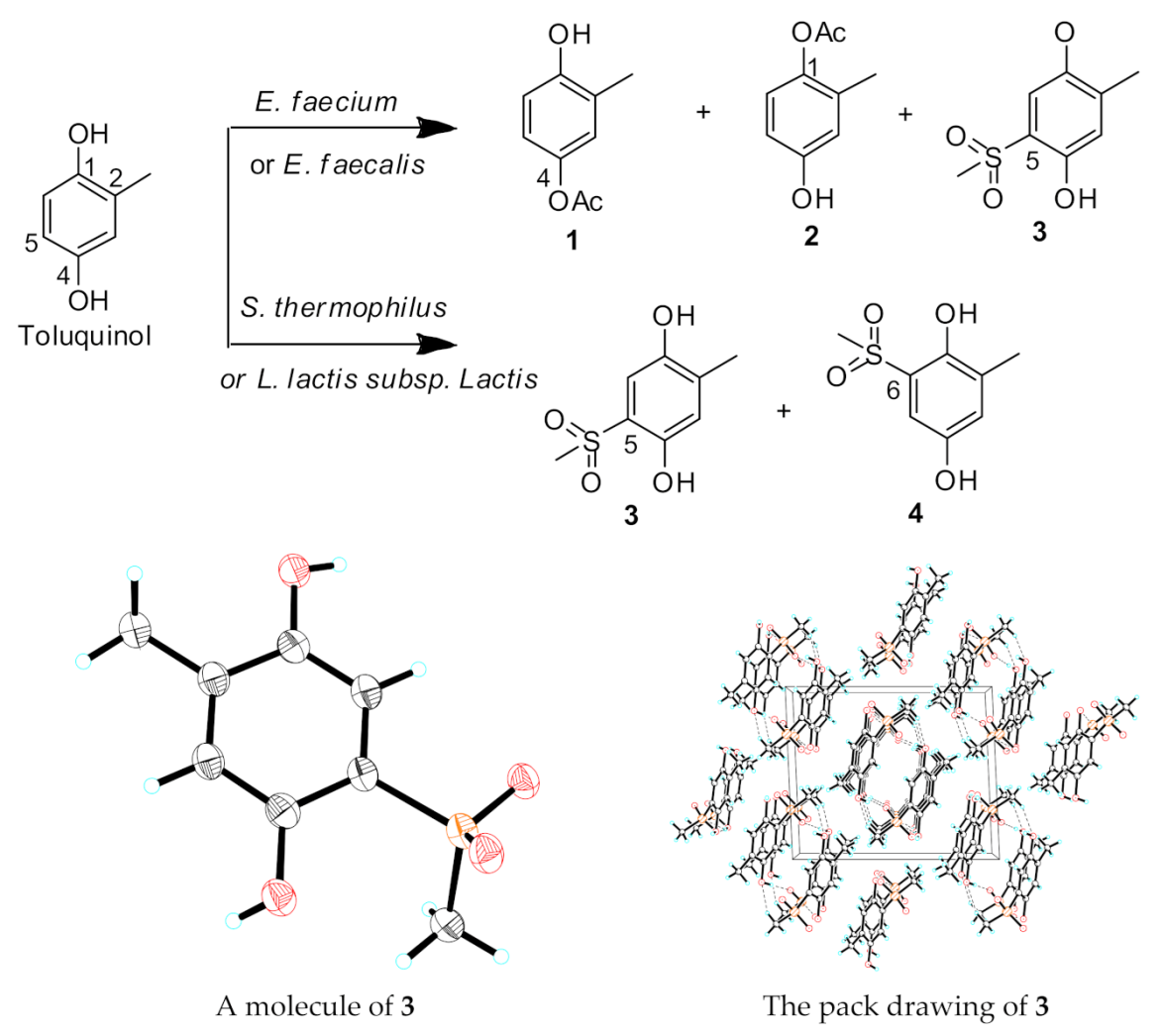 Ijms 23 10700 g003 550