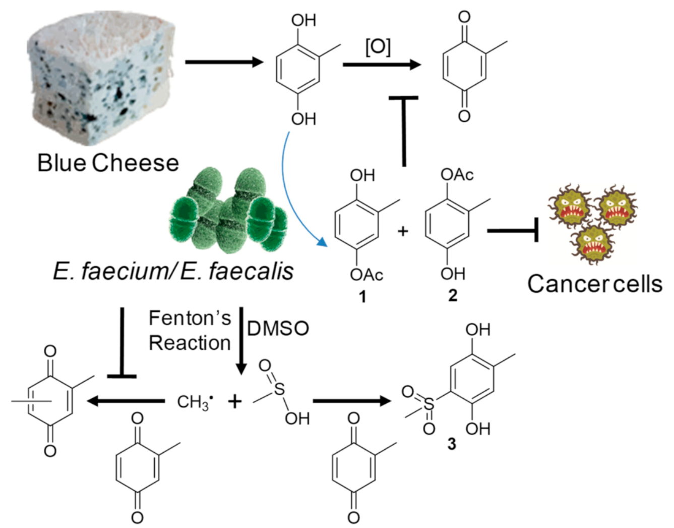 Ijms 23 10700 g008 550