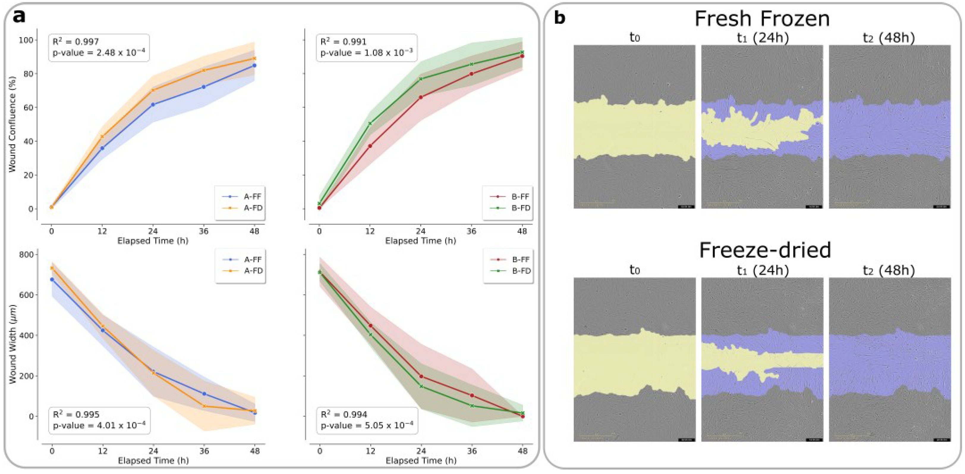 Ijms 23 10701 g003 550