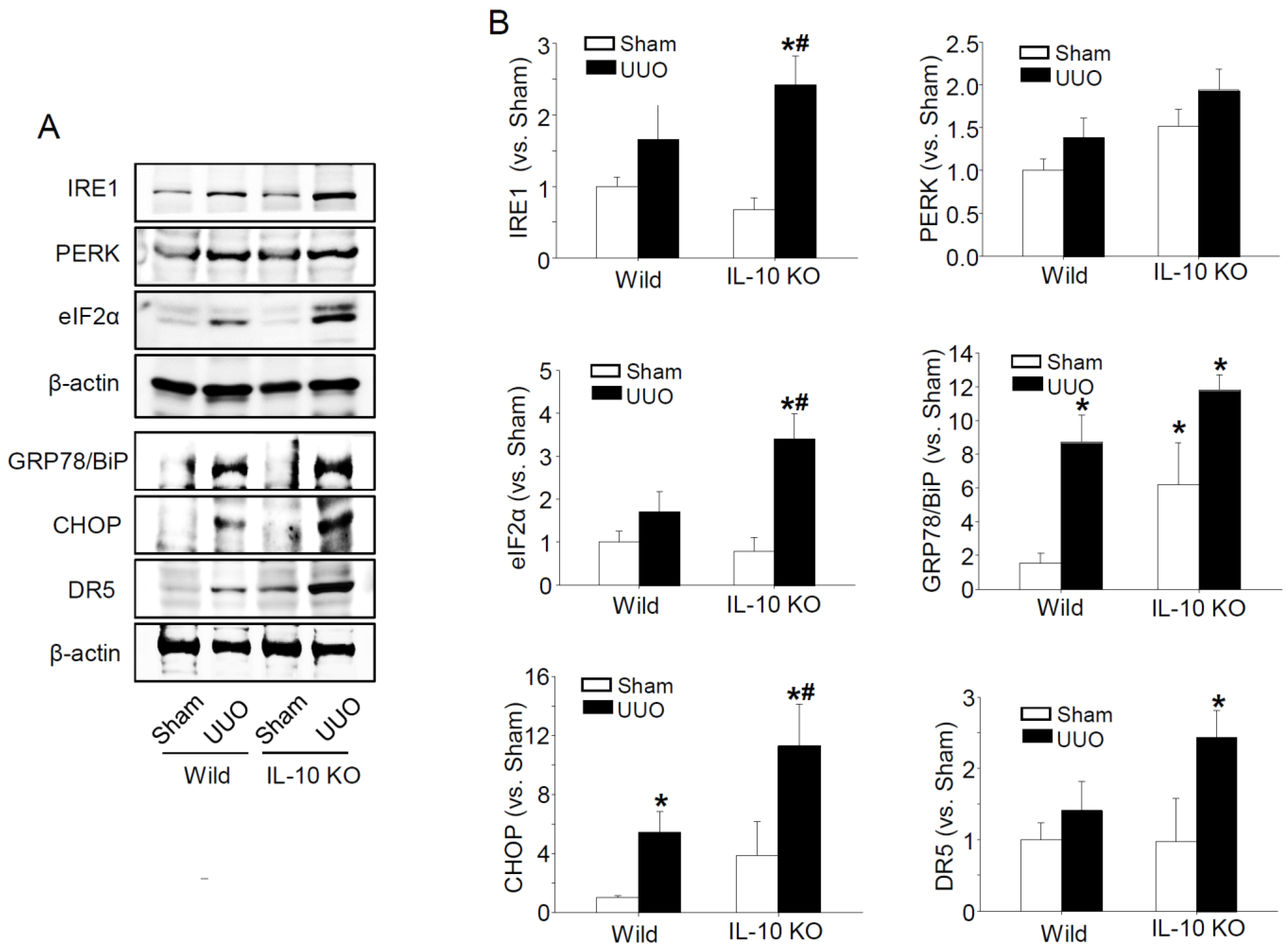 Ijms 23 10702 g002 550
