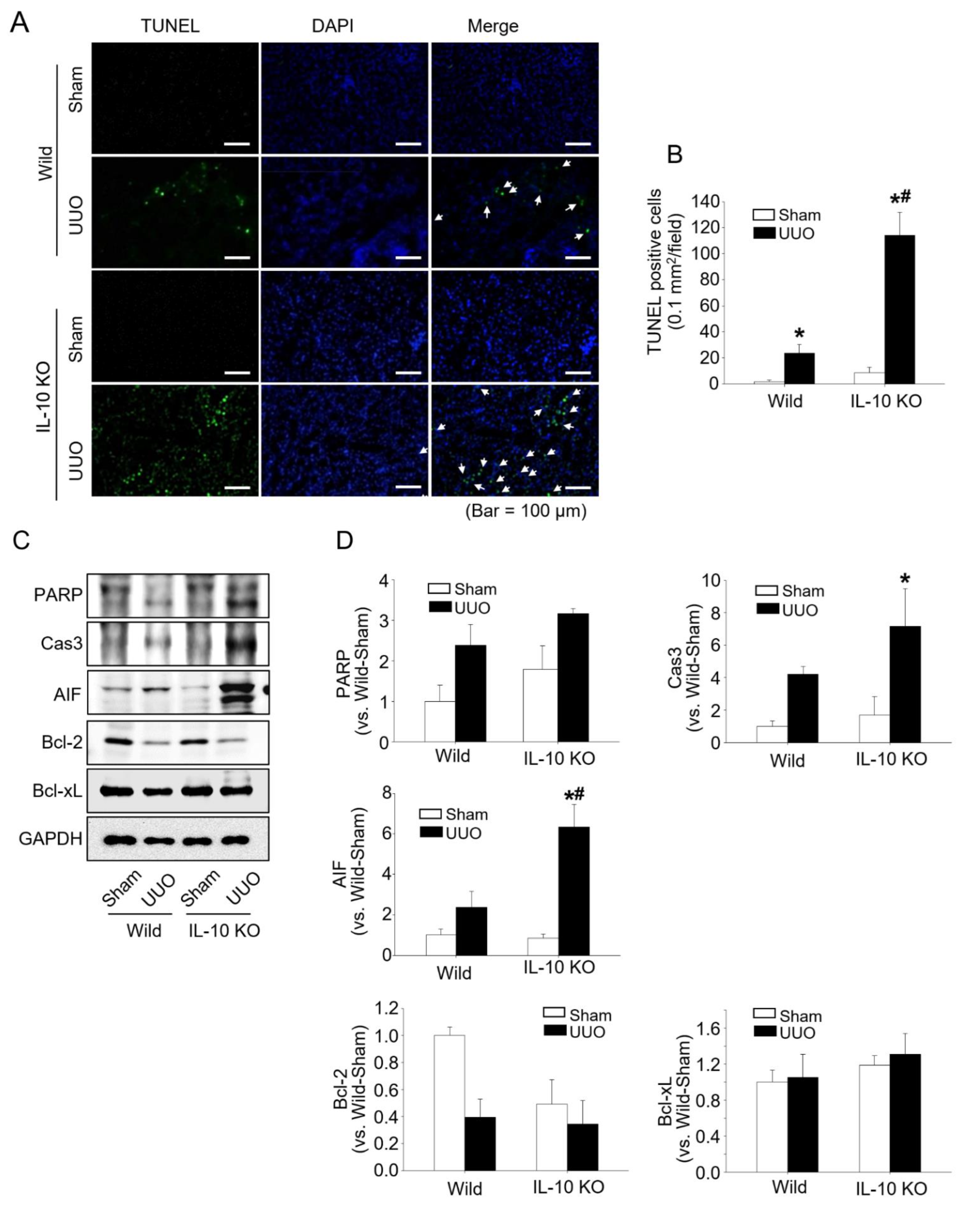 Ijms 23 10702 g003 550